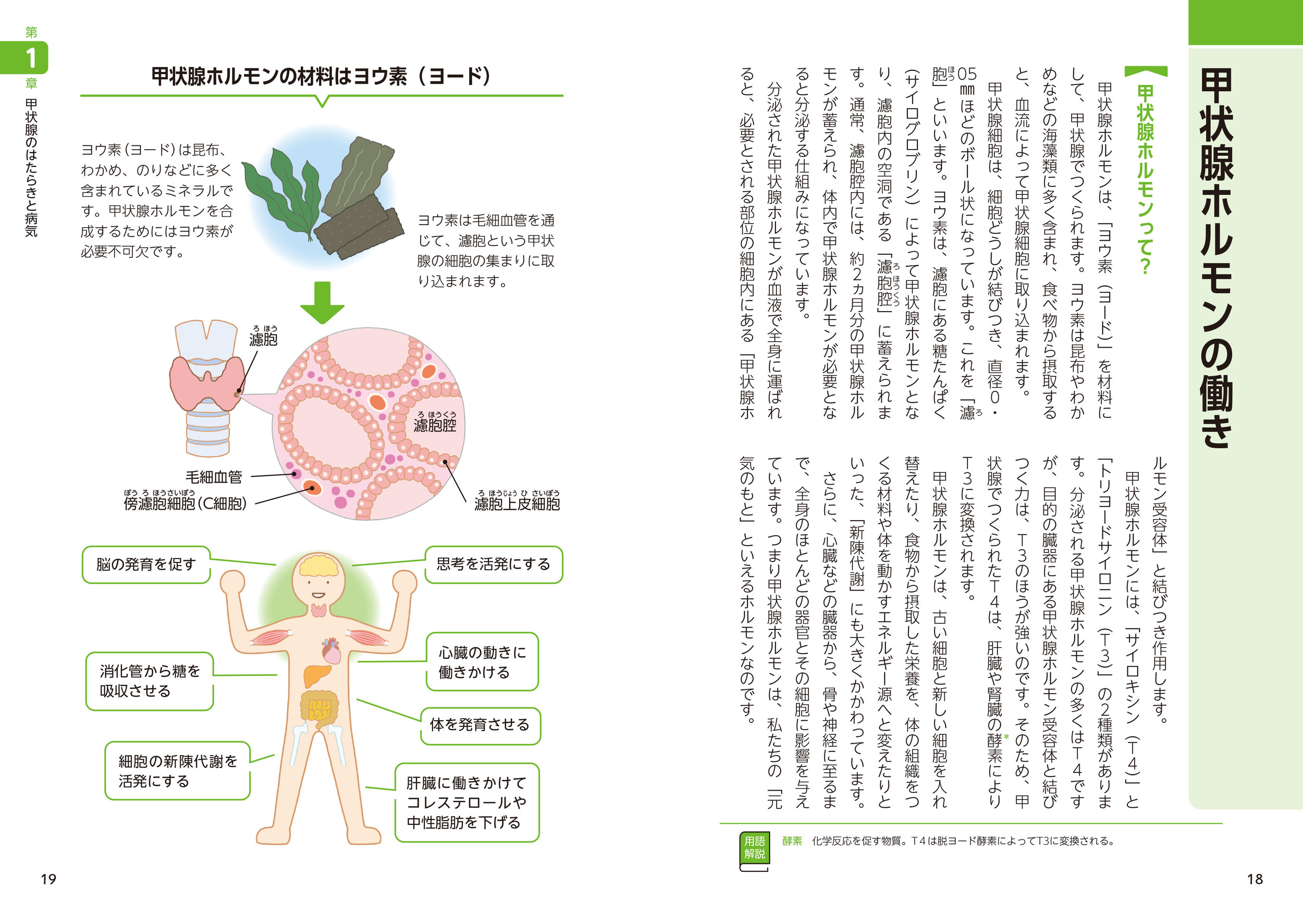 サムネイル画像2