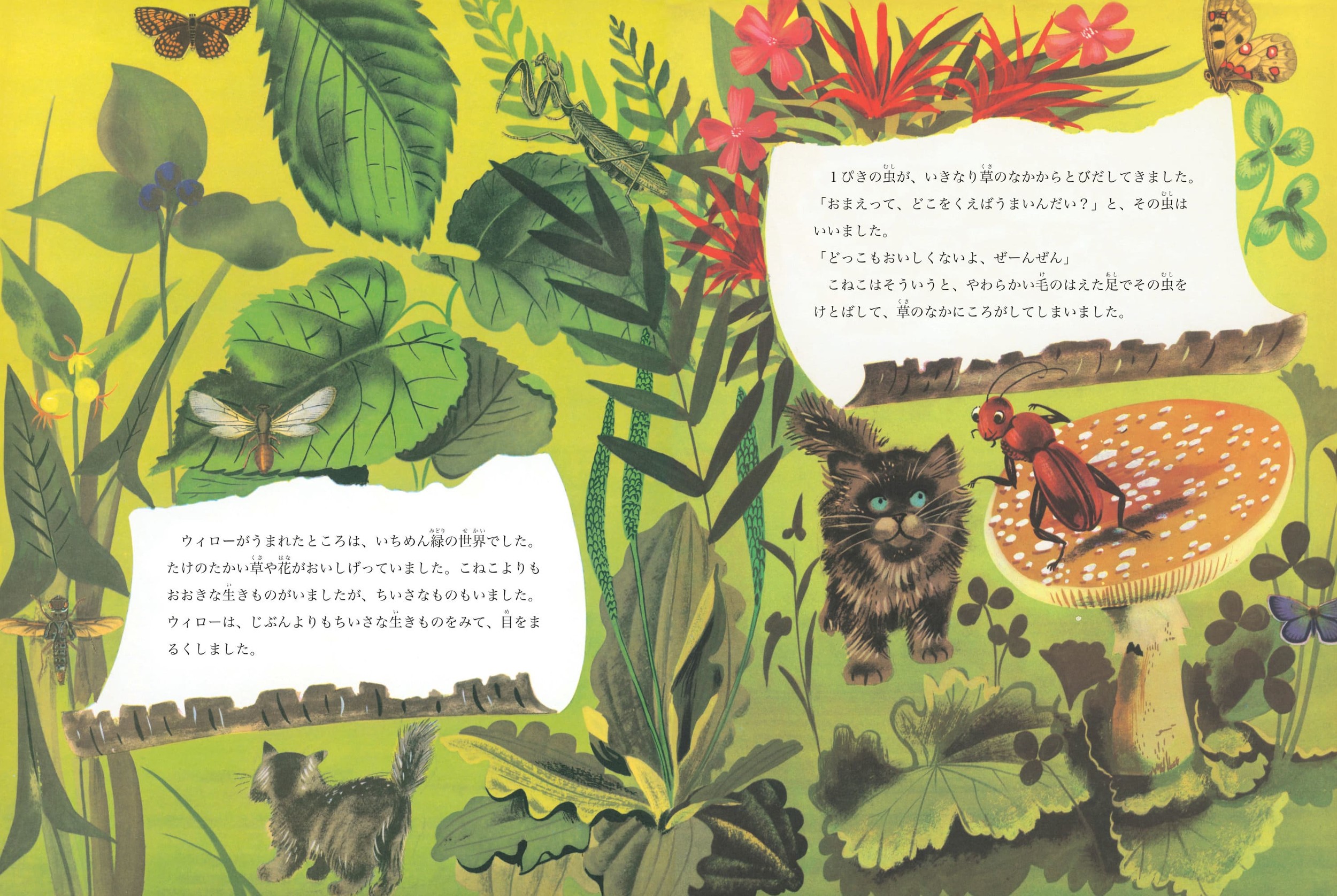 サムネイル画像5