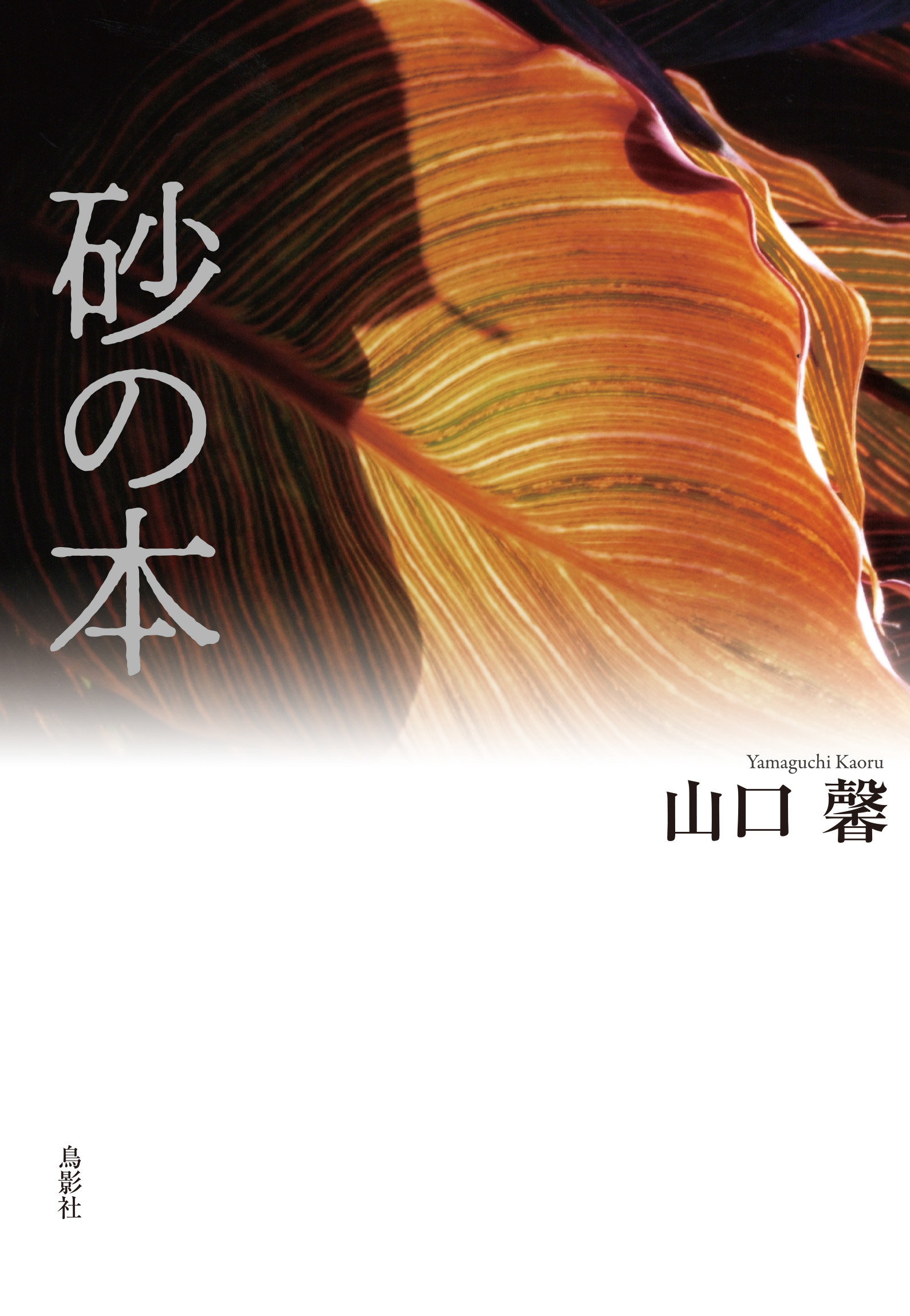 メイン画像