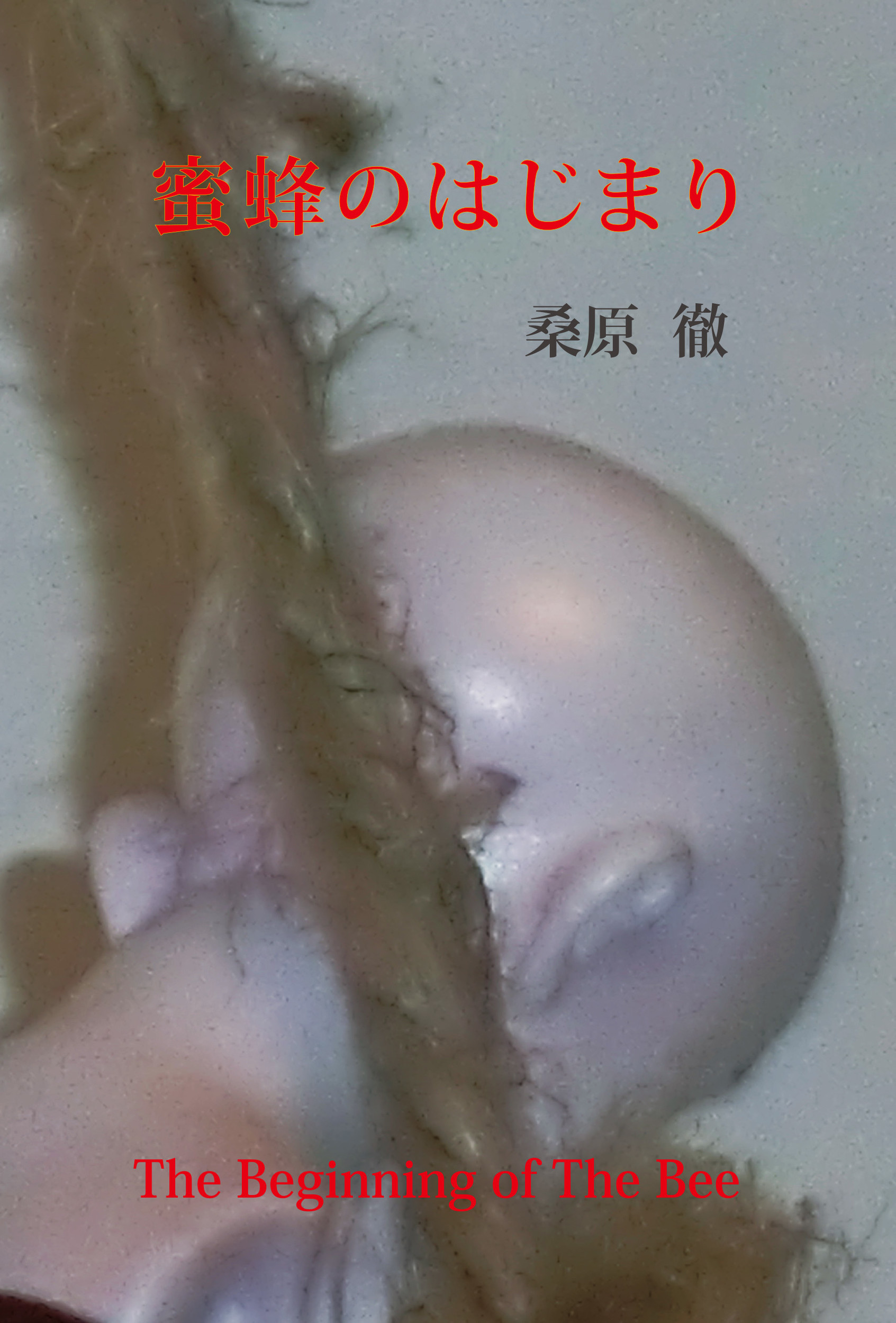 メイン画像