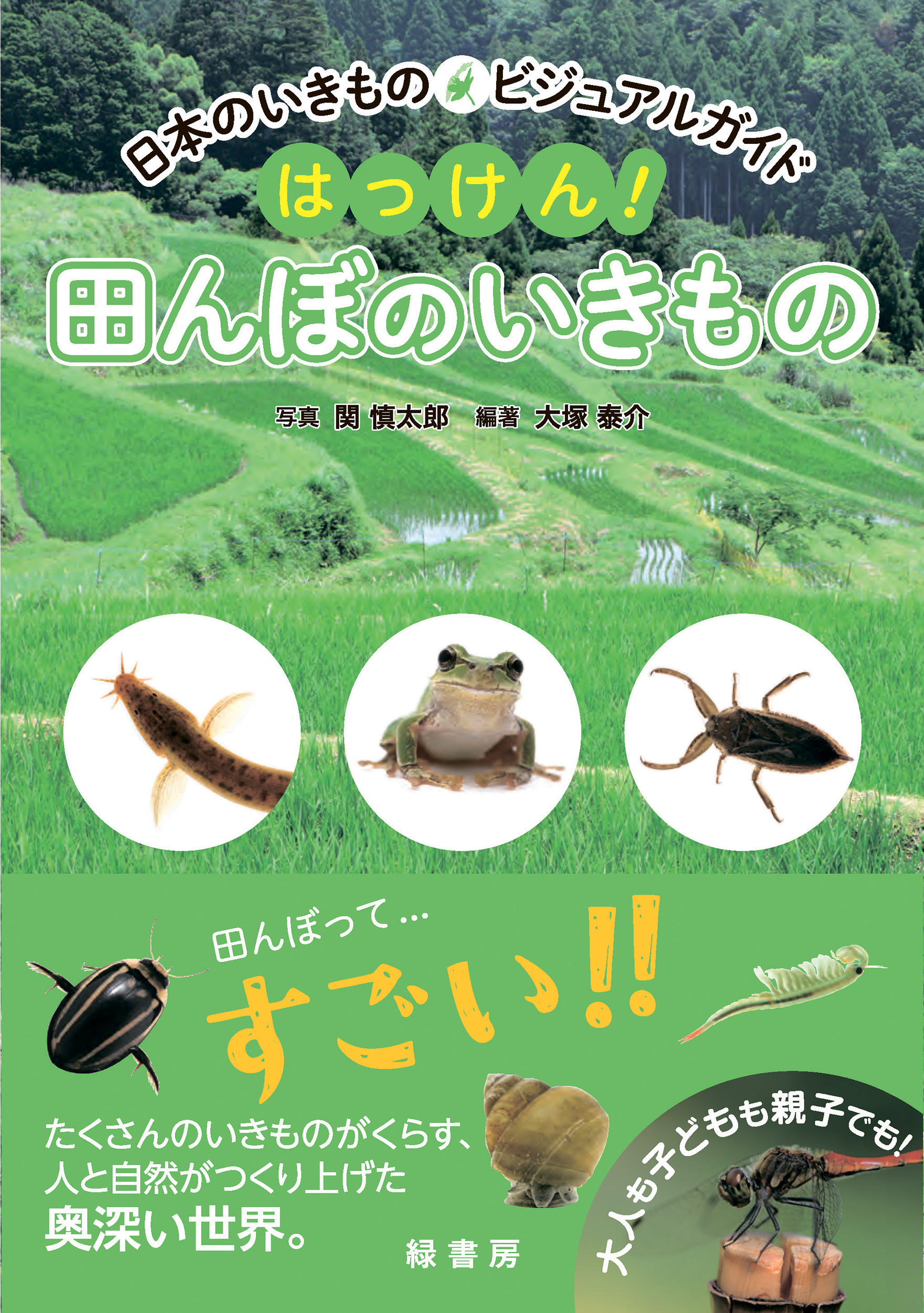 サムネイル画像1