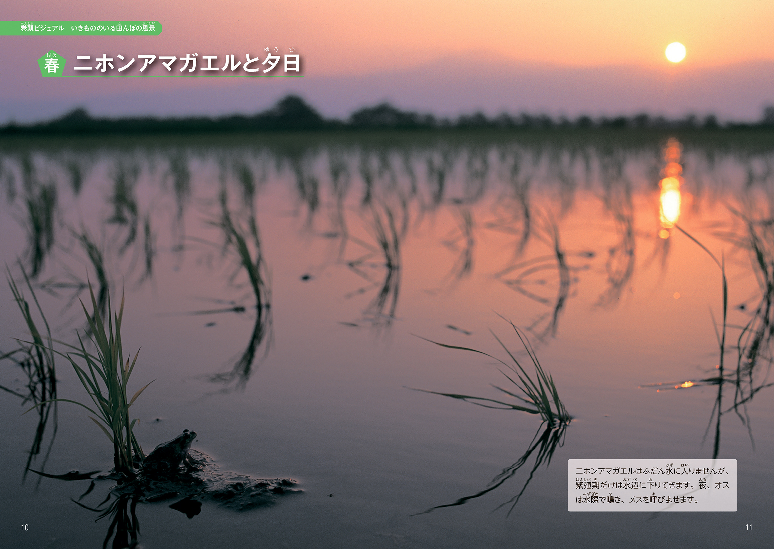 サムネイル画像2