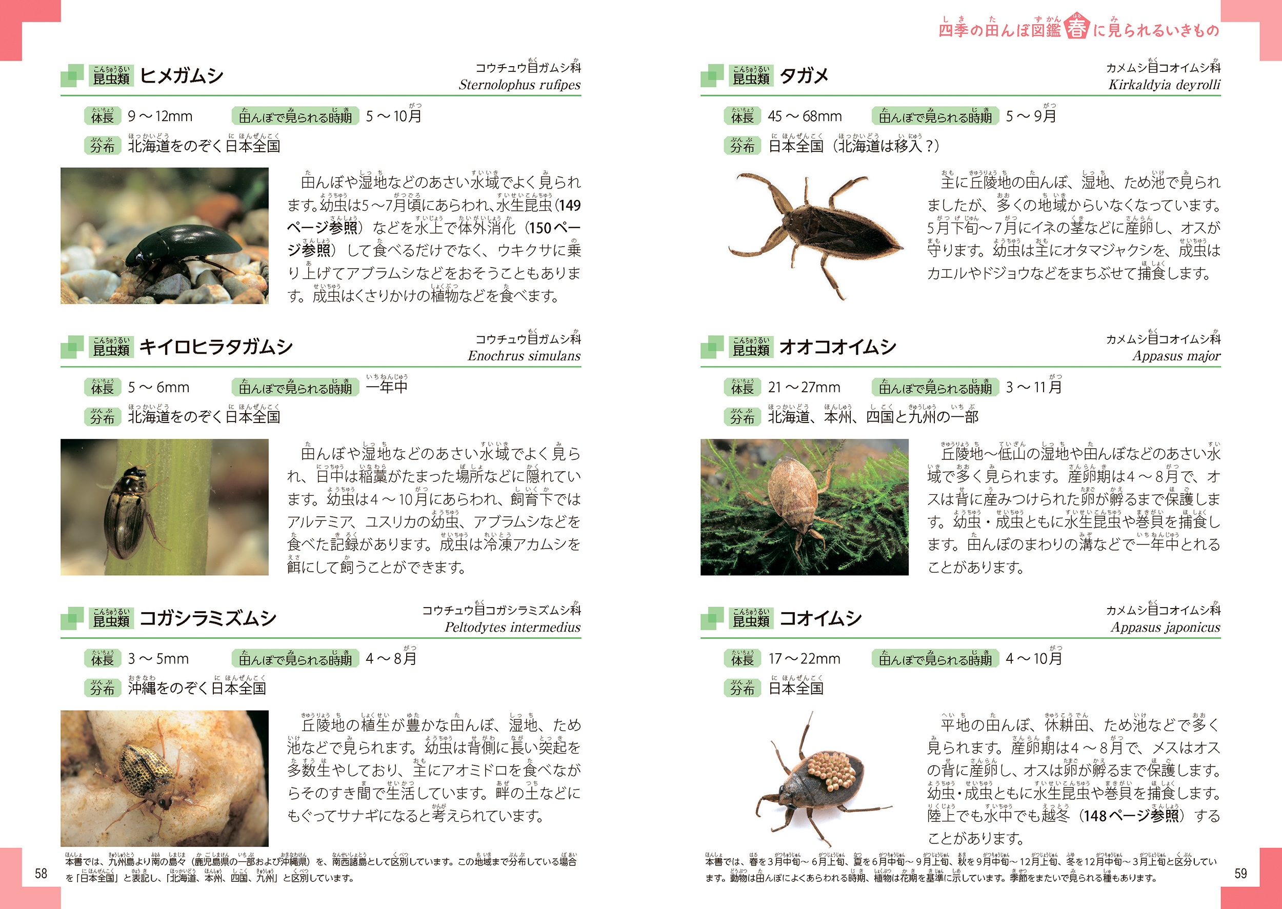 サムネイル画像3