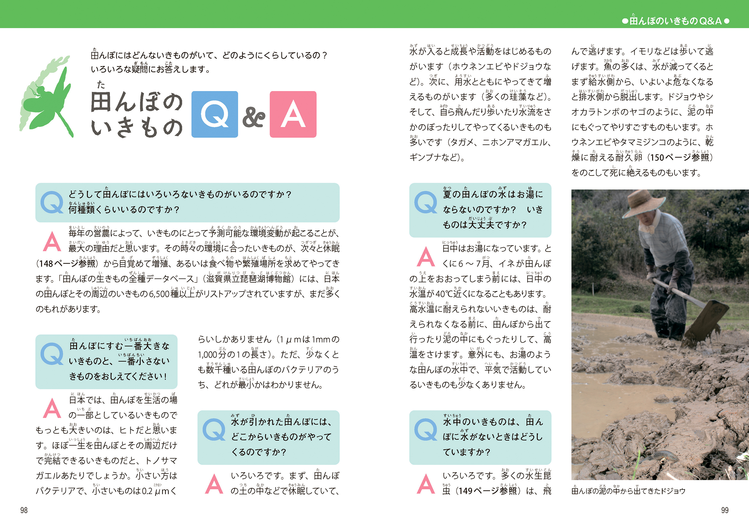 サムネイル画像4