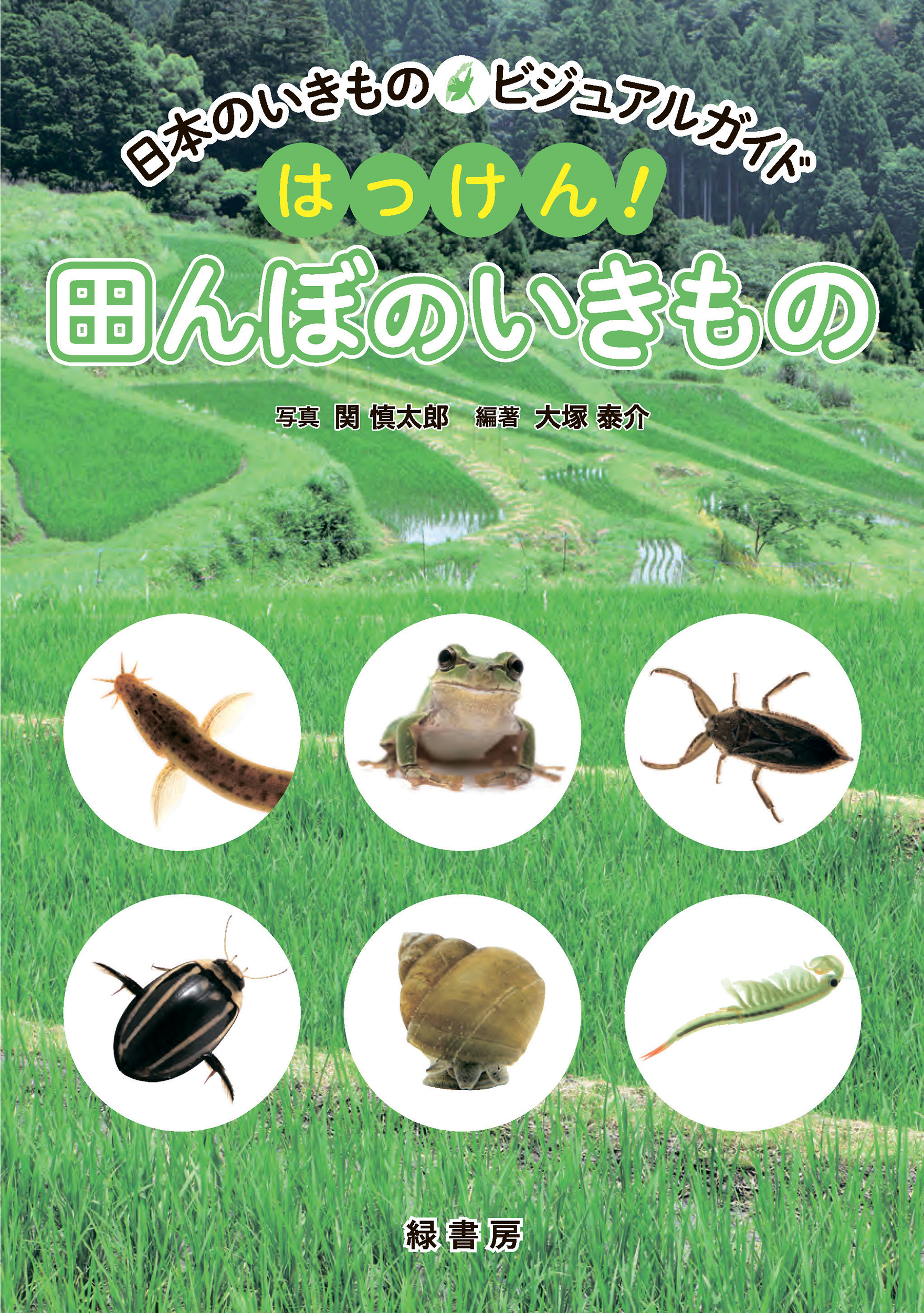 メイン画像