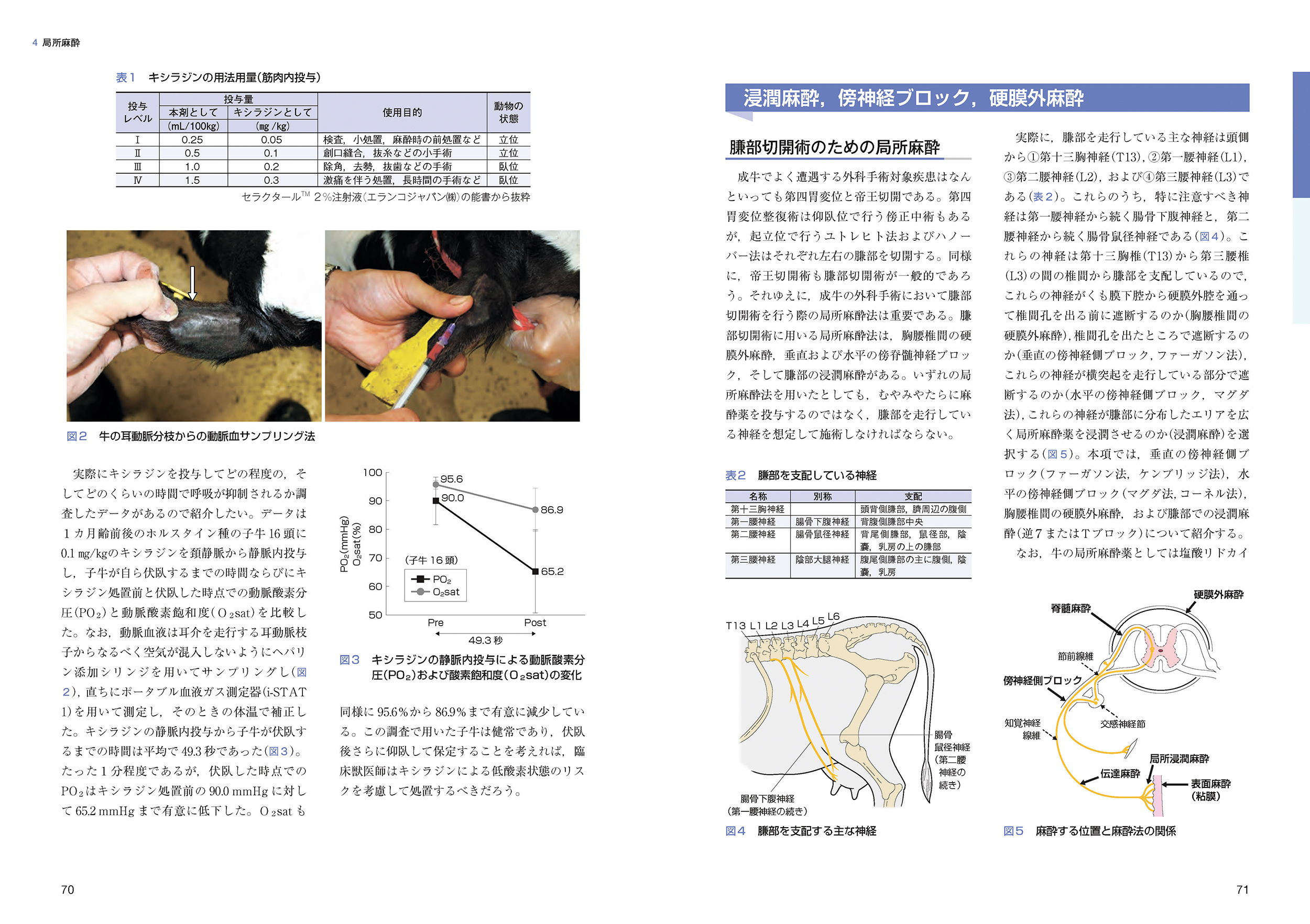 サムネイル画像3