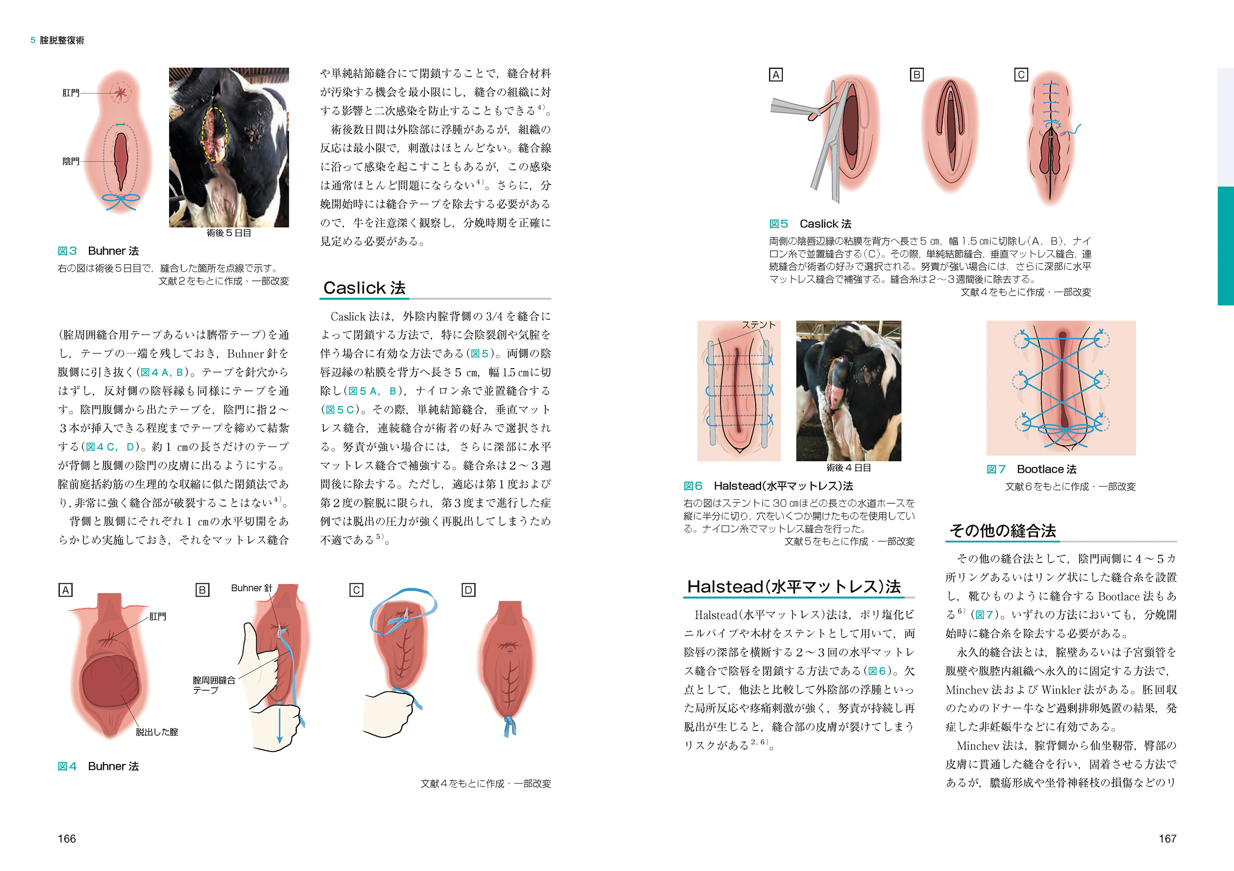 サムネイル画像5