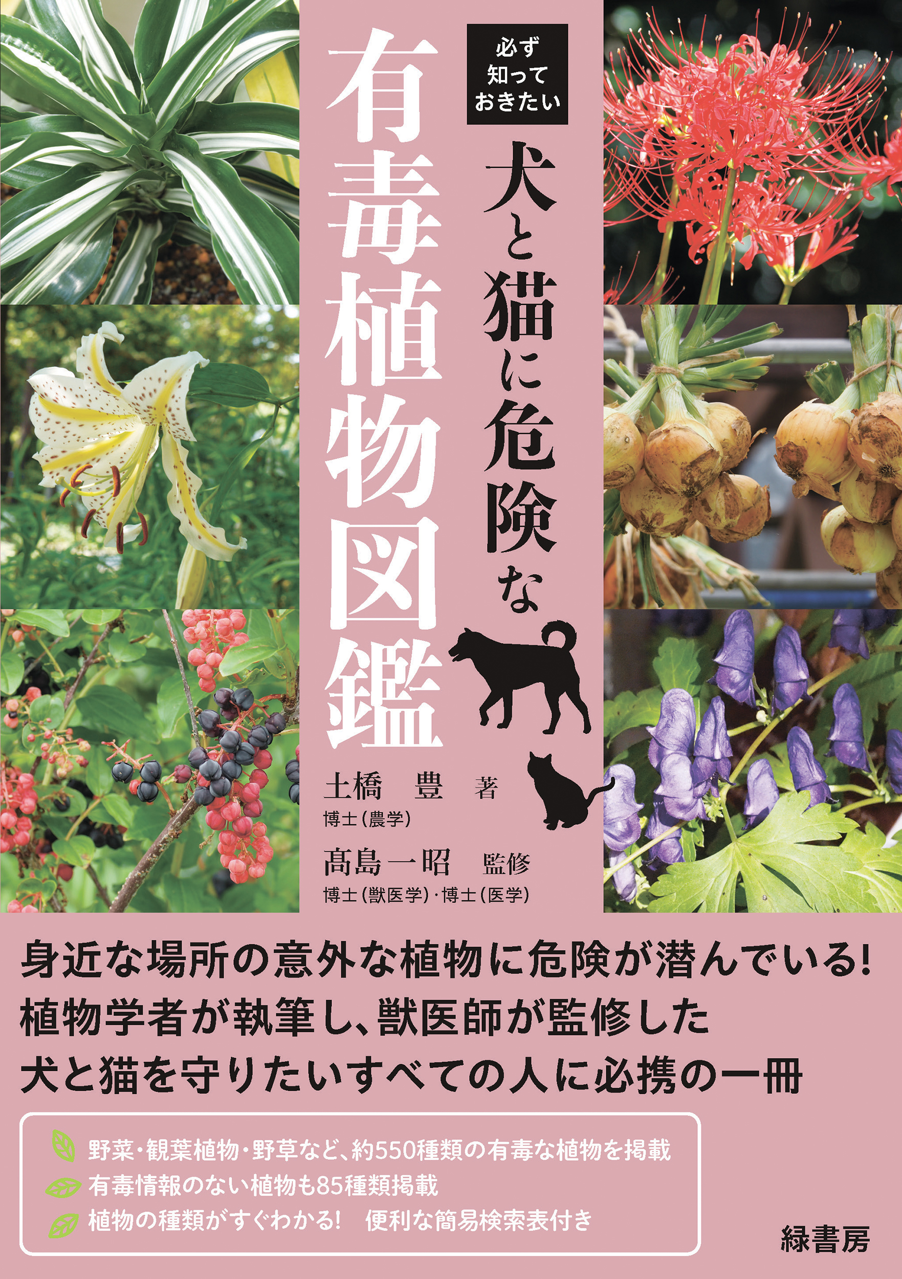 サムネイル画像1