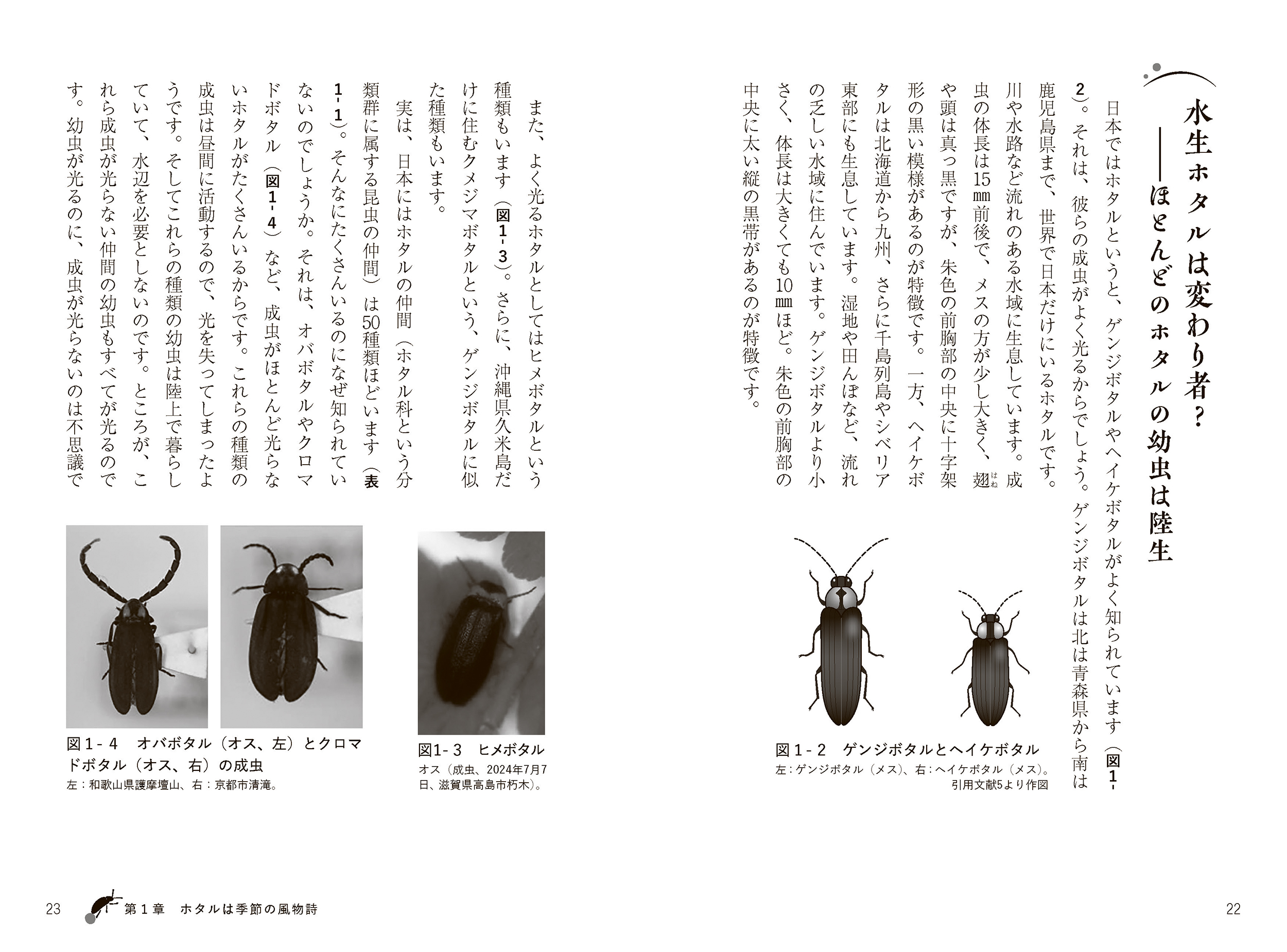 サムネイル画像3