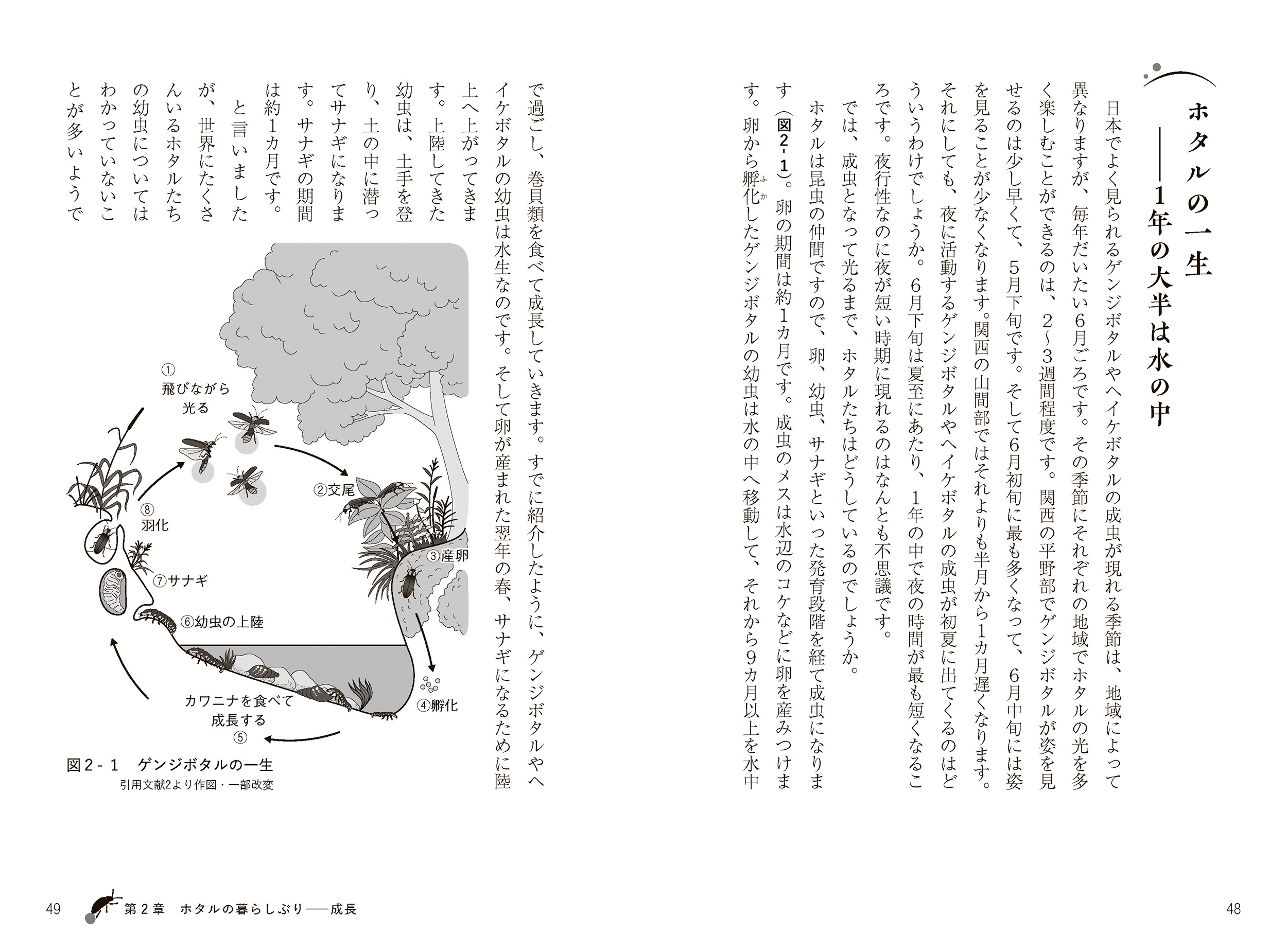サムネイル画像4