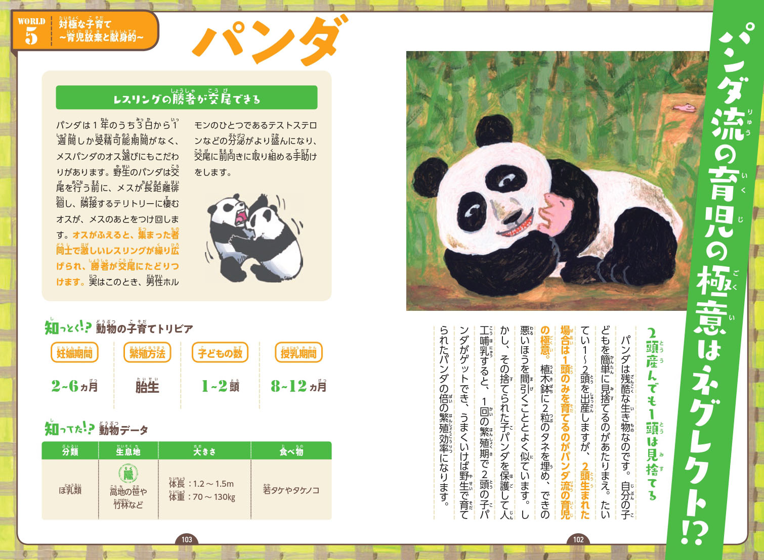 サムネイル画像5