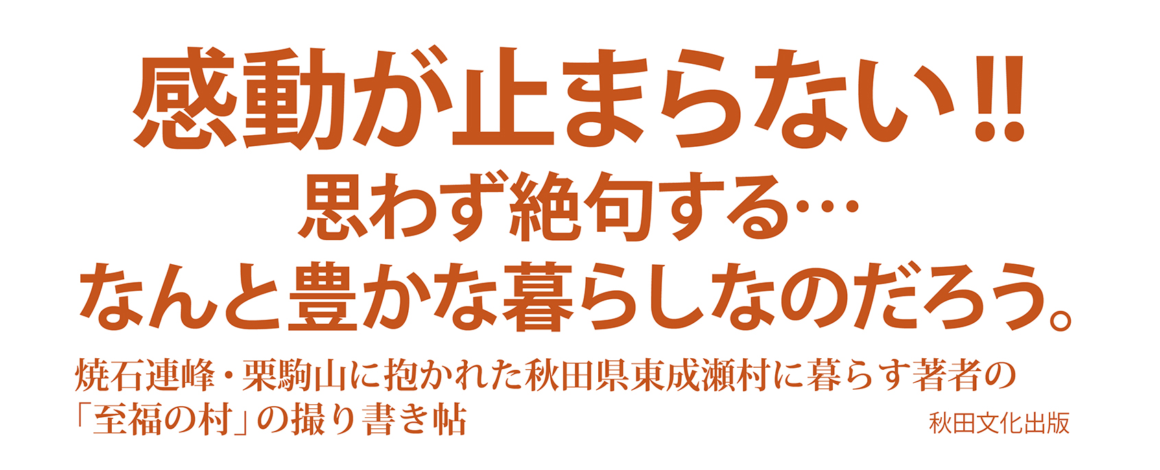 サムネイル画像4