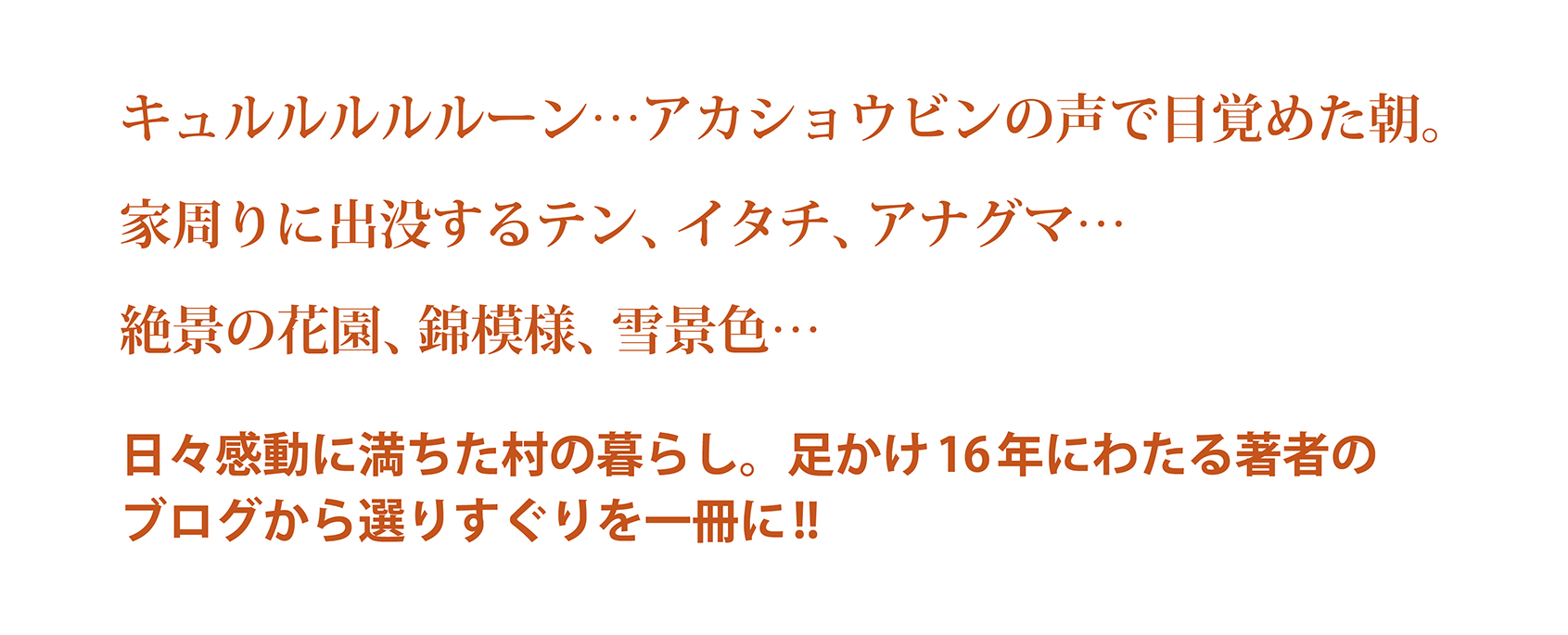 サムネイル画像5