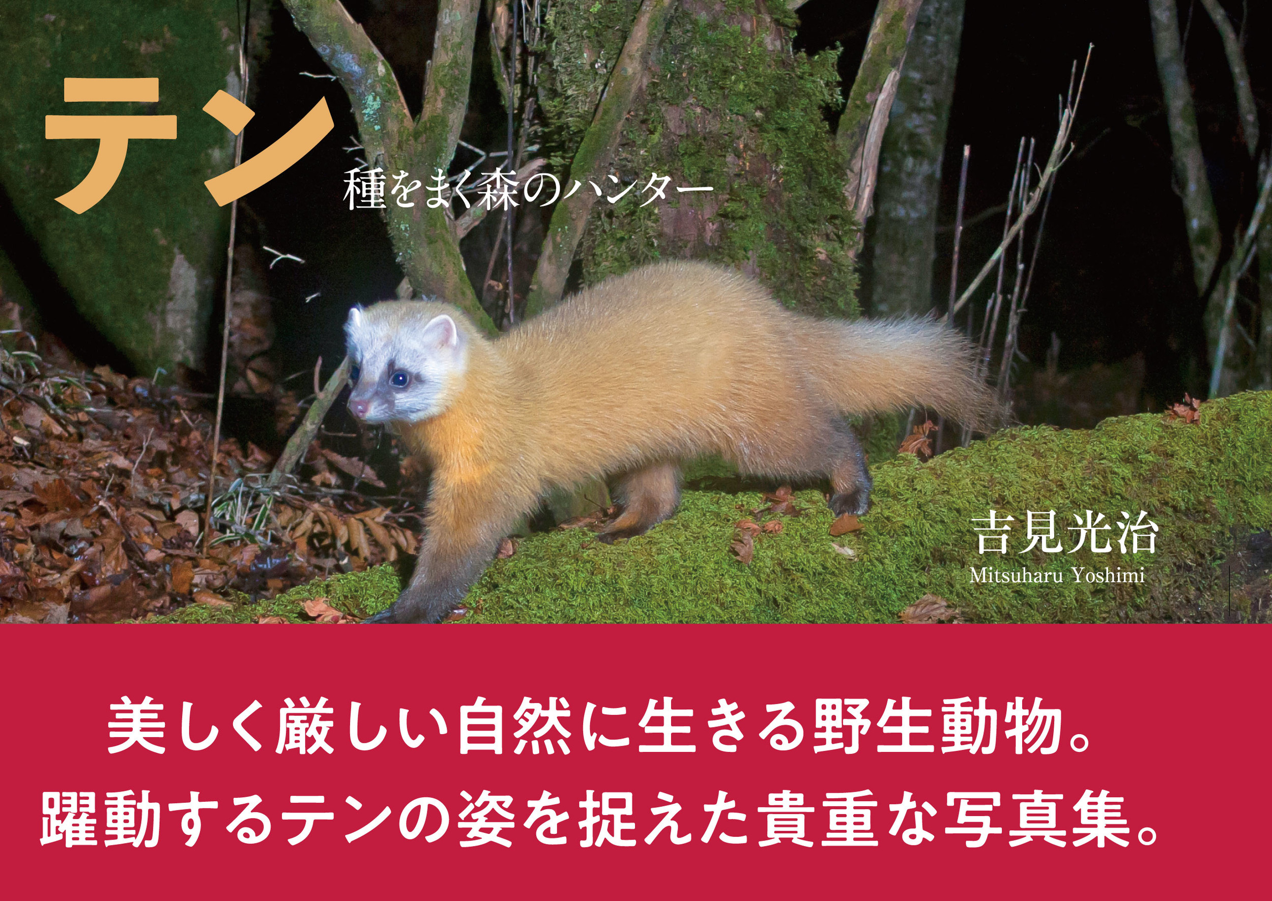 メイン画像