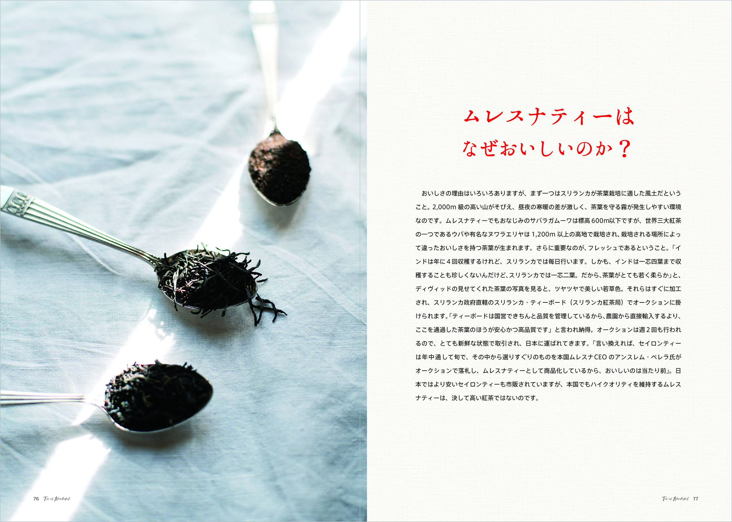 サムネイル画像5