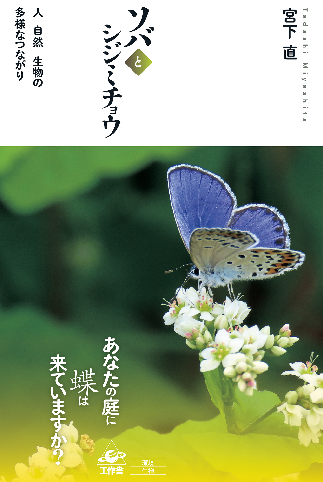 サムネイル画像1