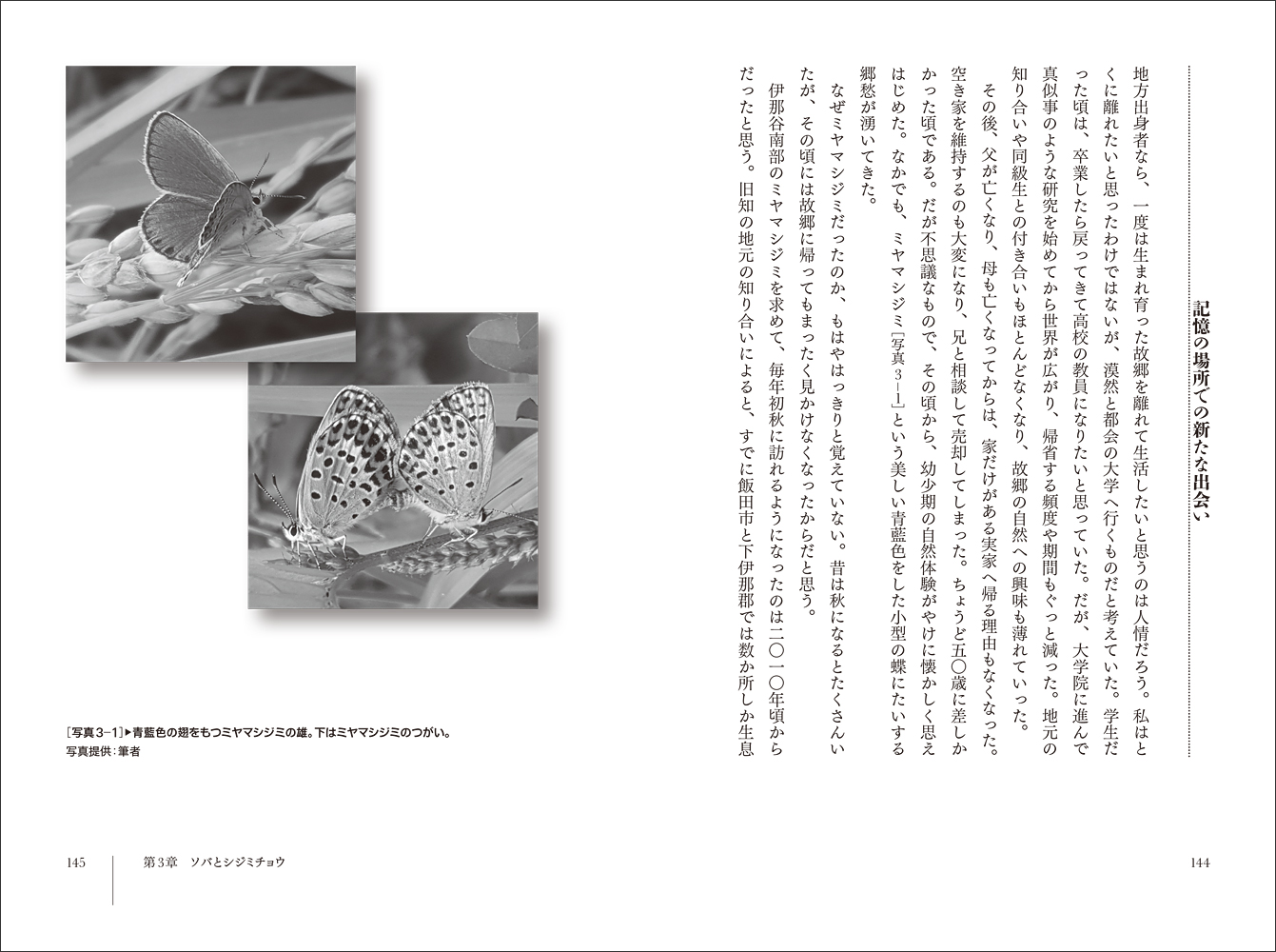 サムネイル画像4
