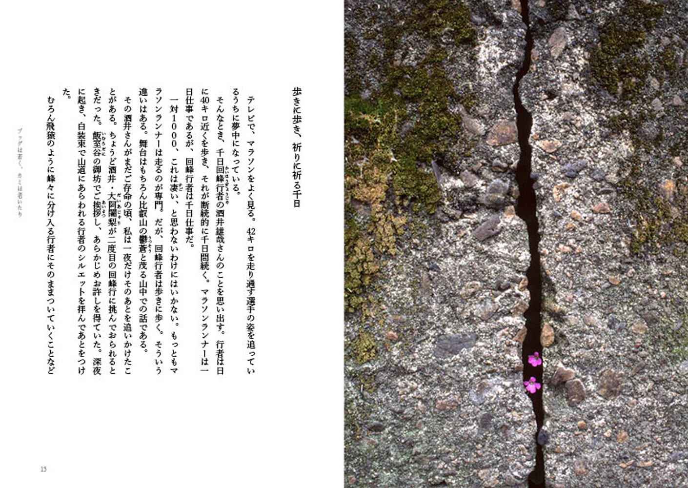 サムネイル画像2