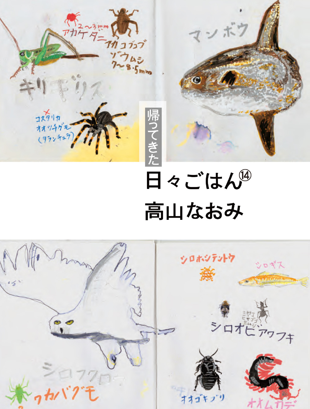 メイン画像