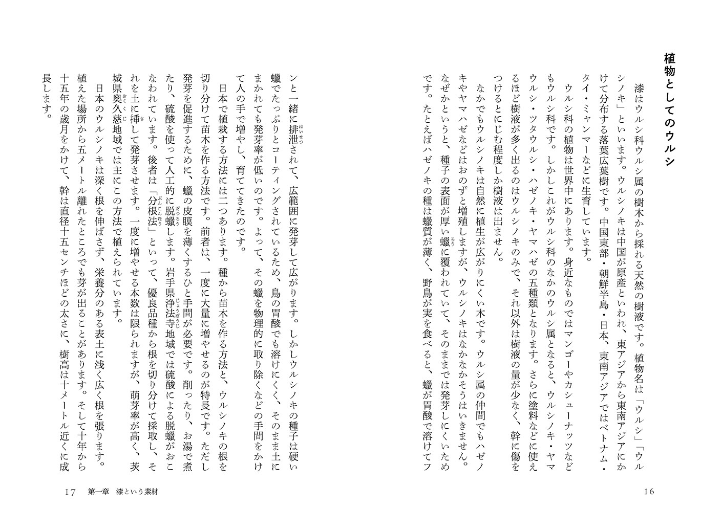 サムネイル画像4