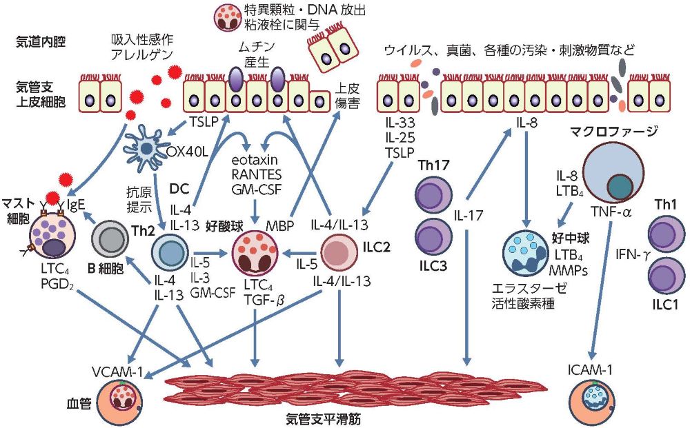 サムネイル画像3