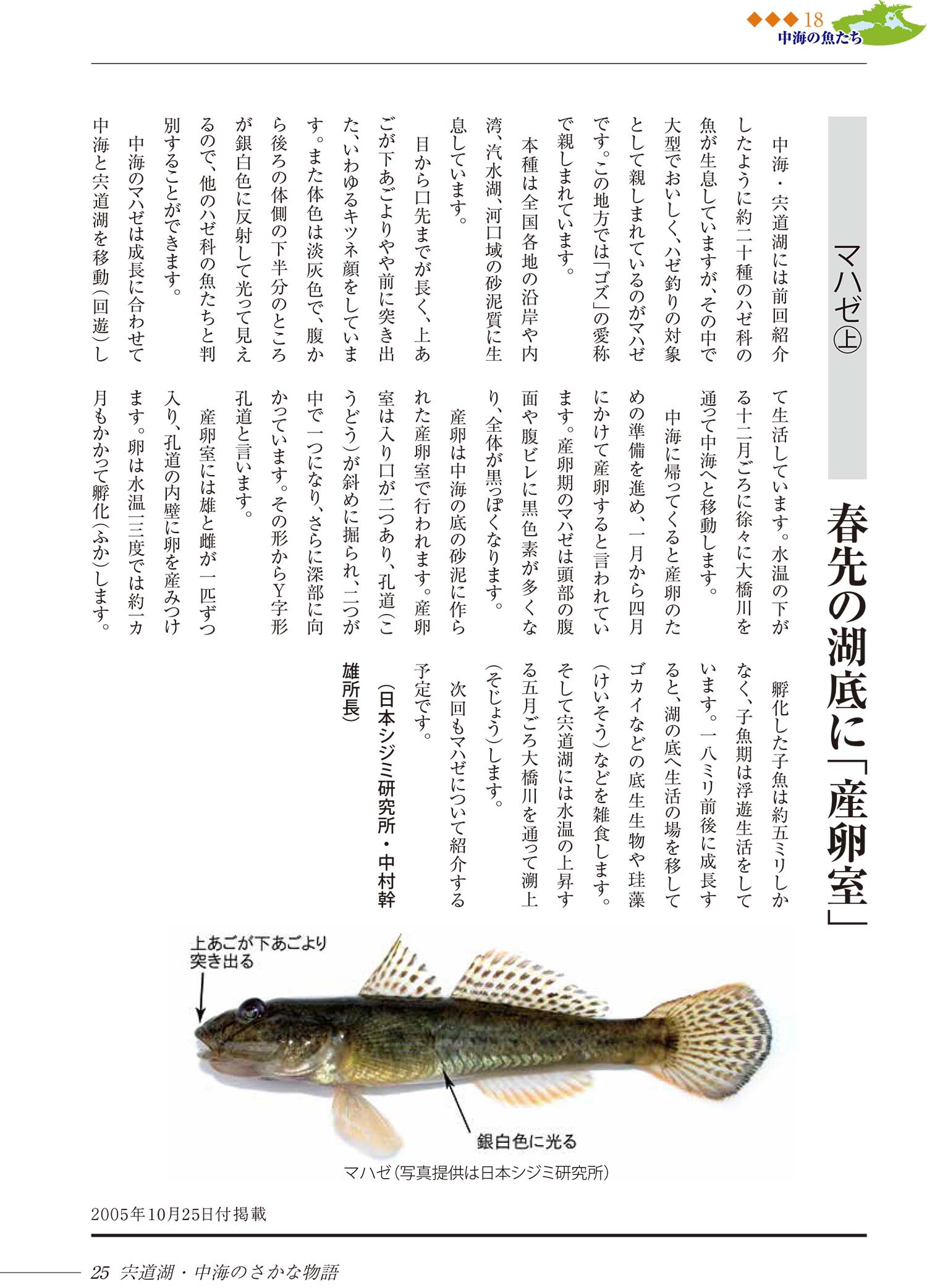 サムネイル画像1
