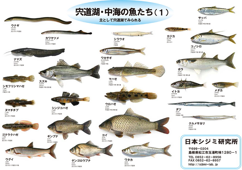 サムネイル画像2