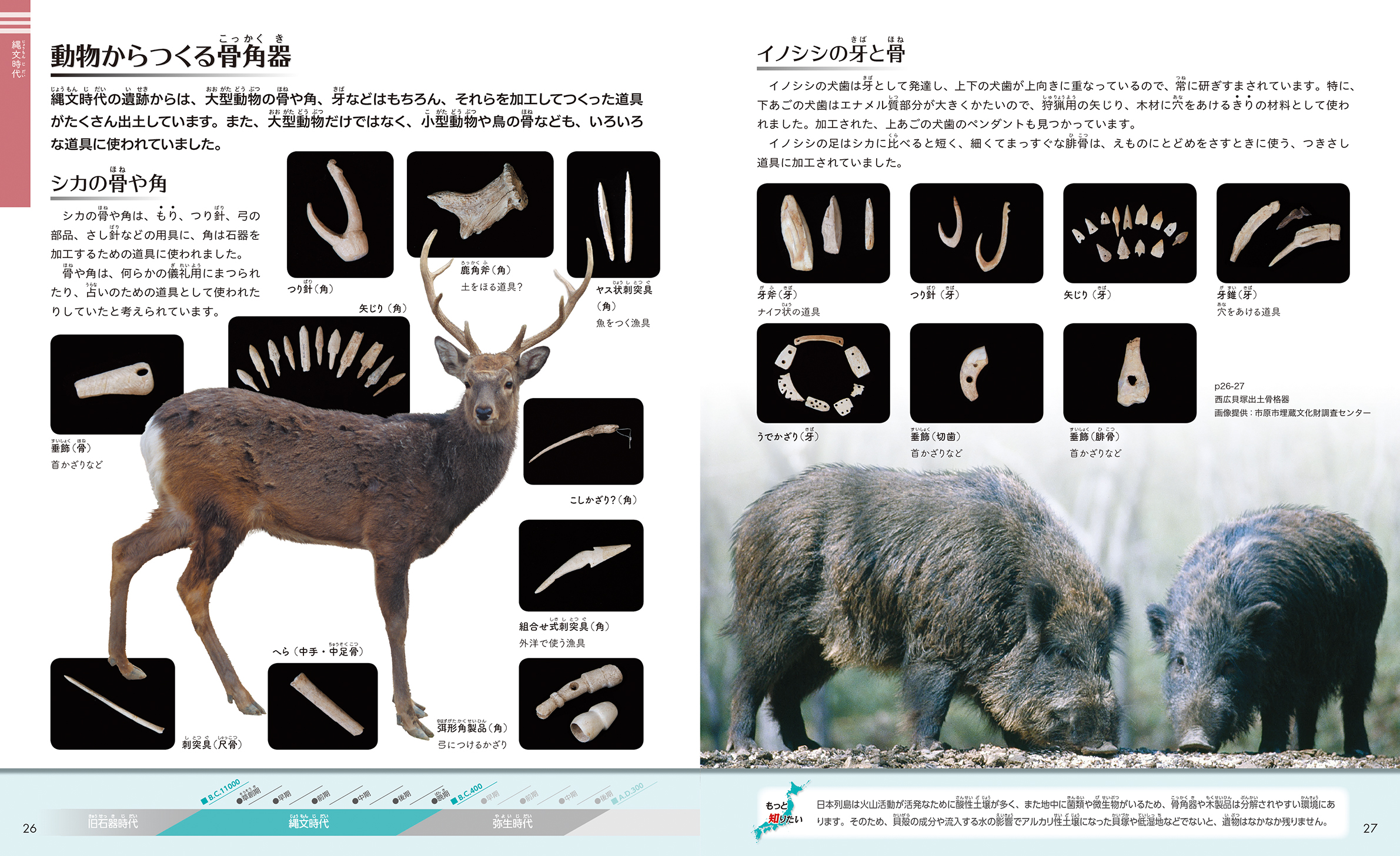 サムネイル画像4