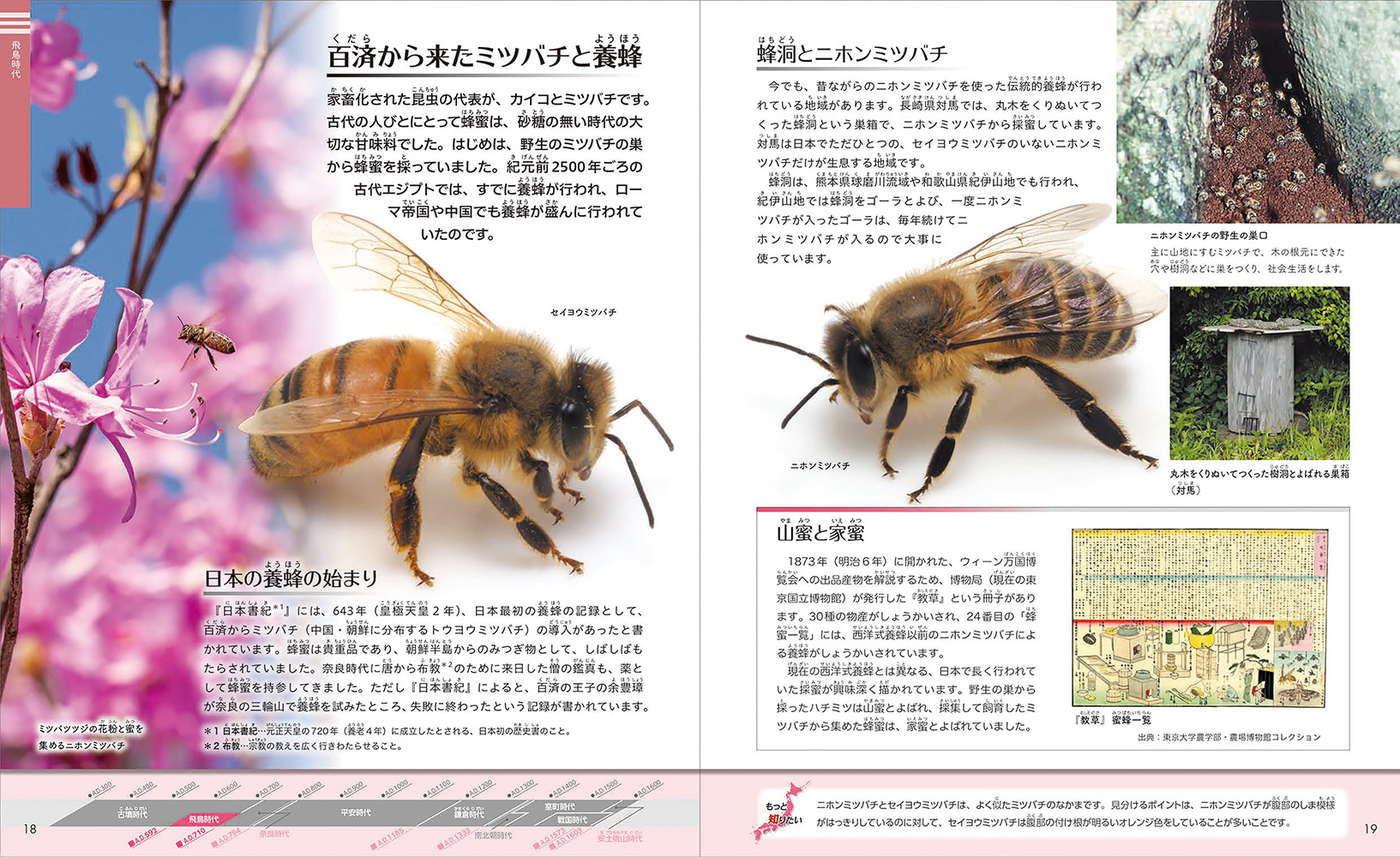 サムネイル画像2
