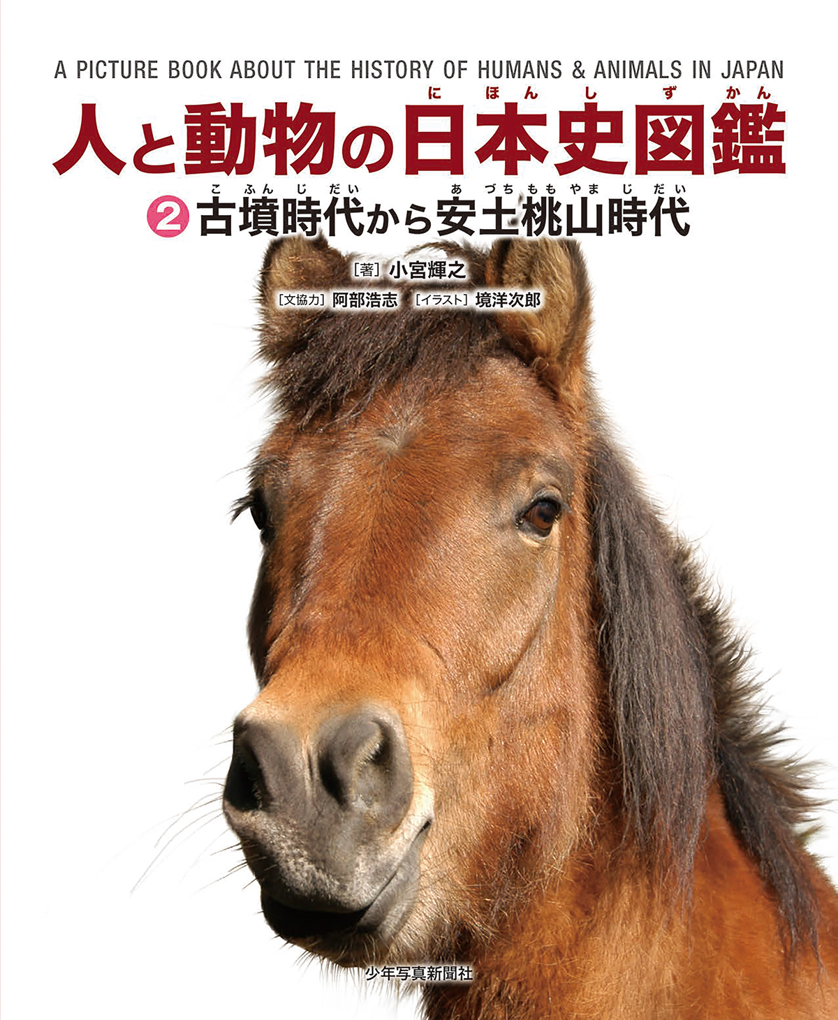 メイン画像