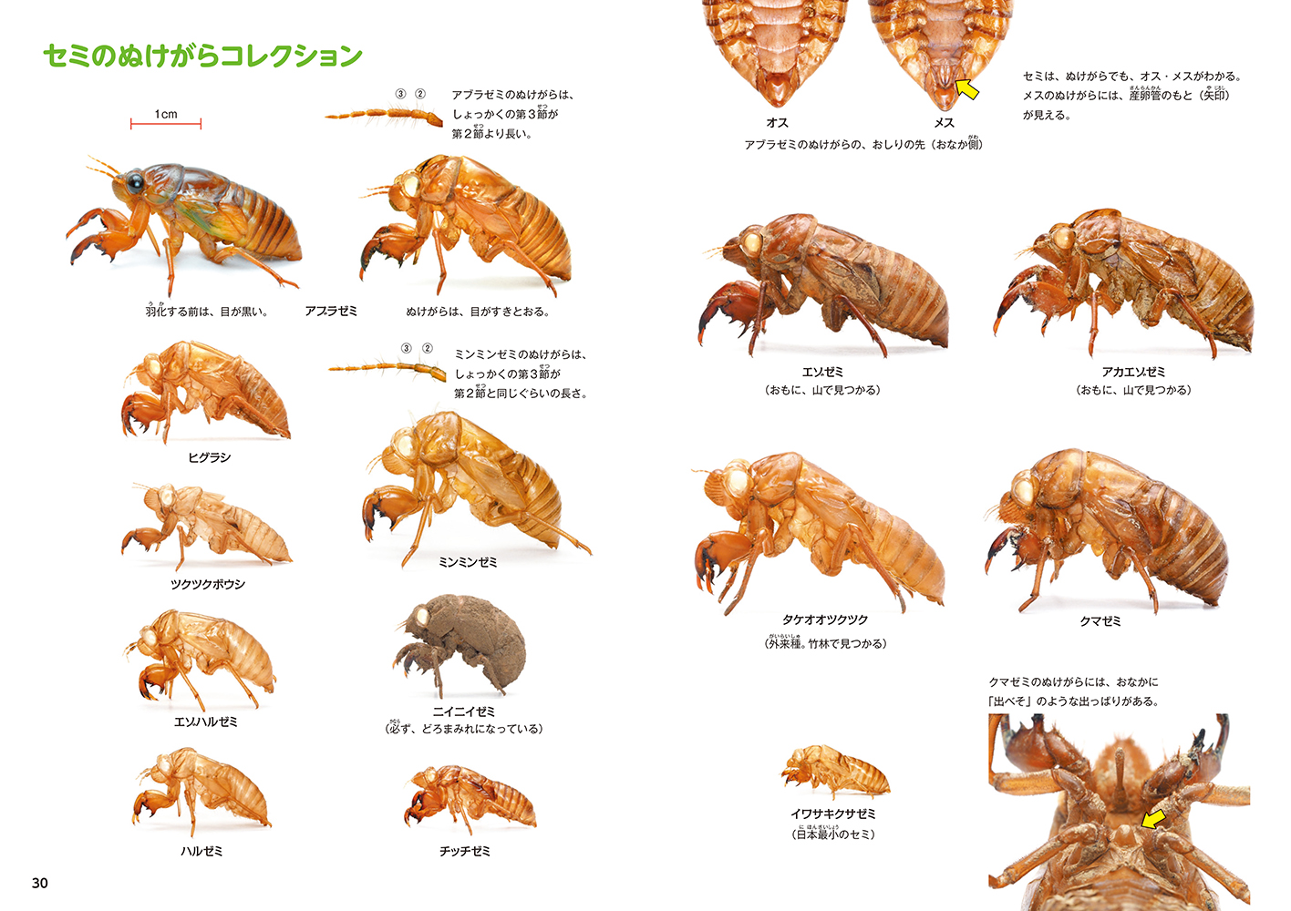 サムネイル画像2