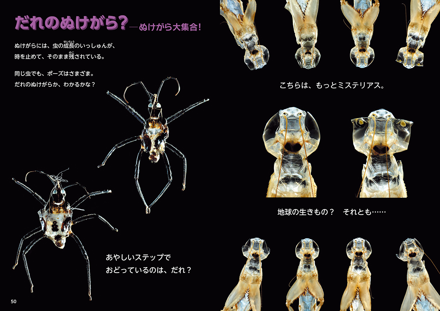 サムネイル画像4