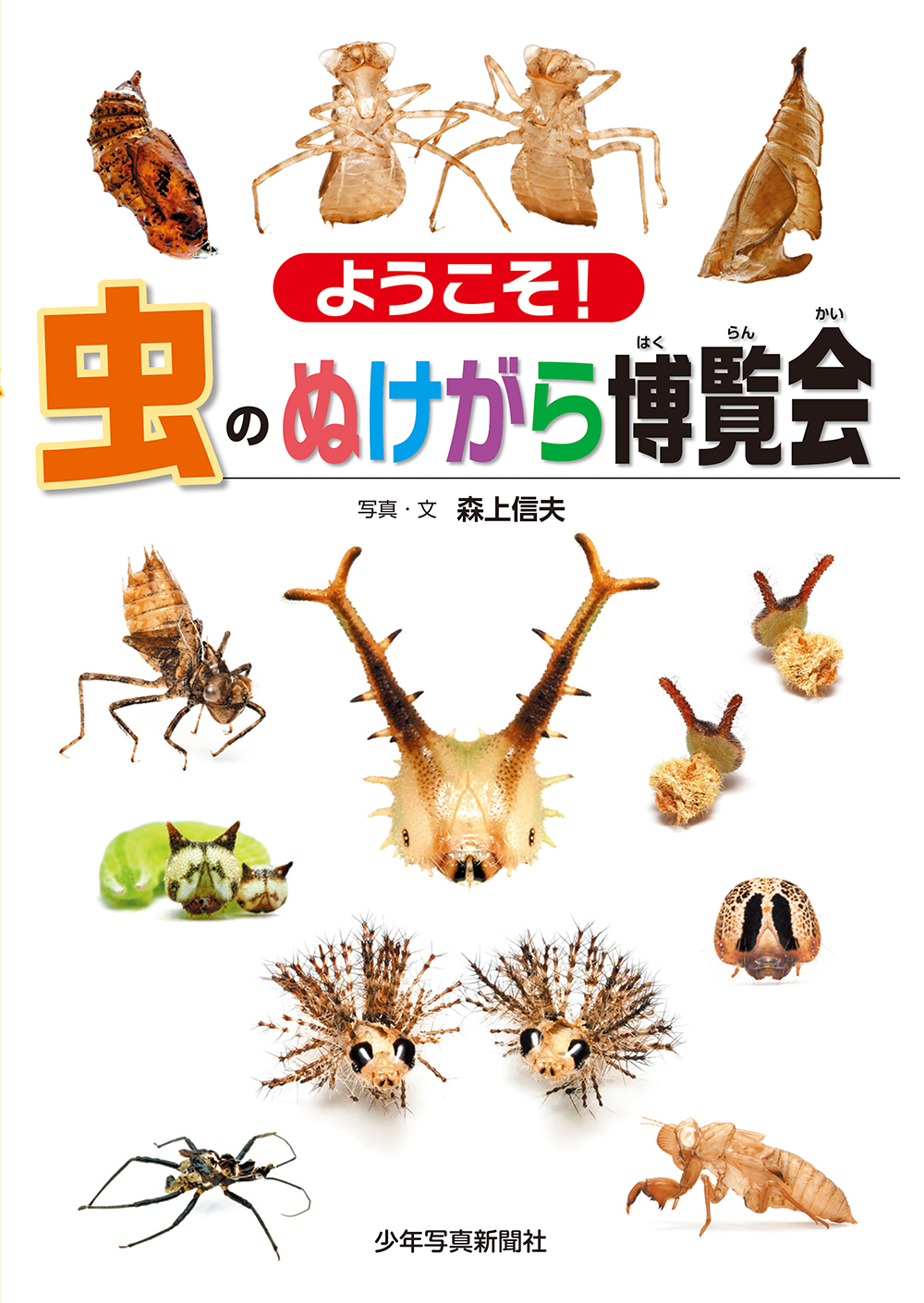 メイン画像