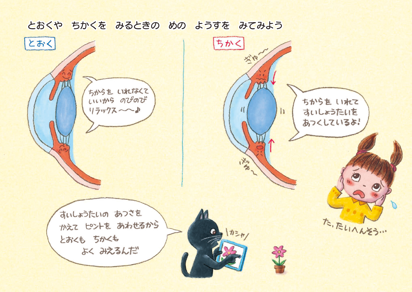 サムネイル画像3