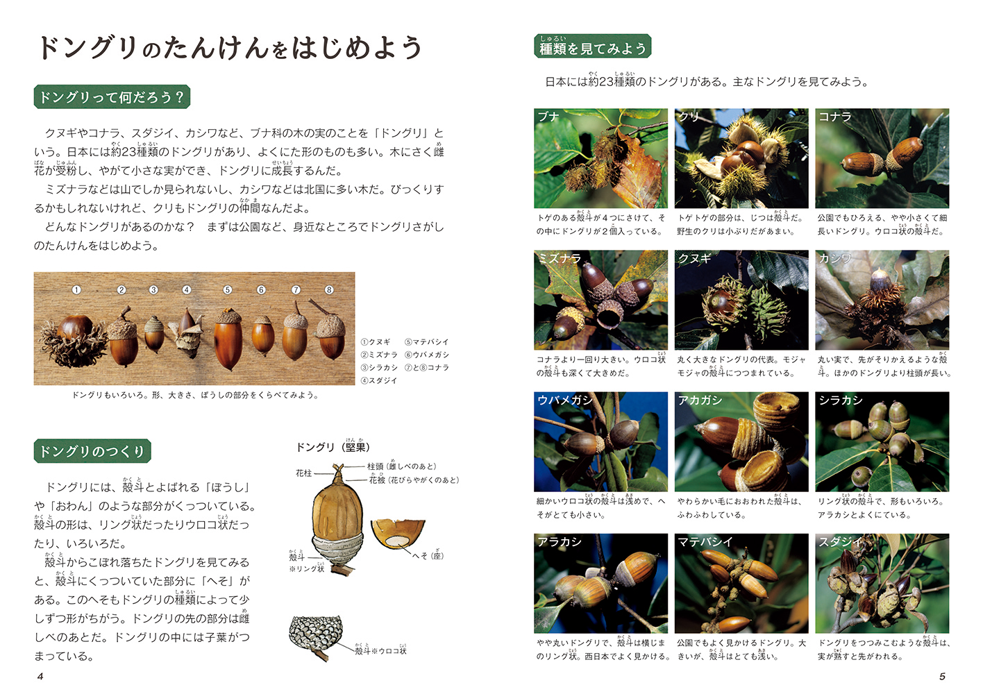 サムネイル画像2