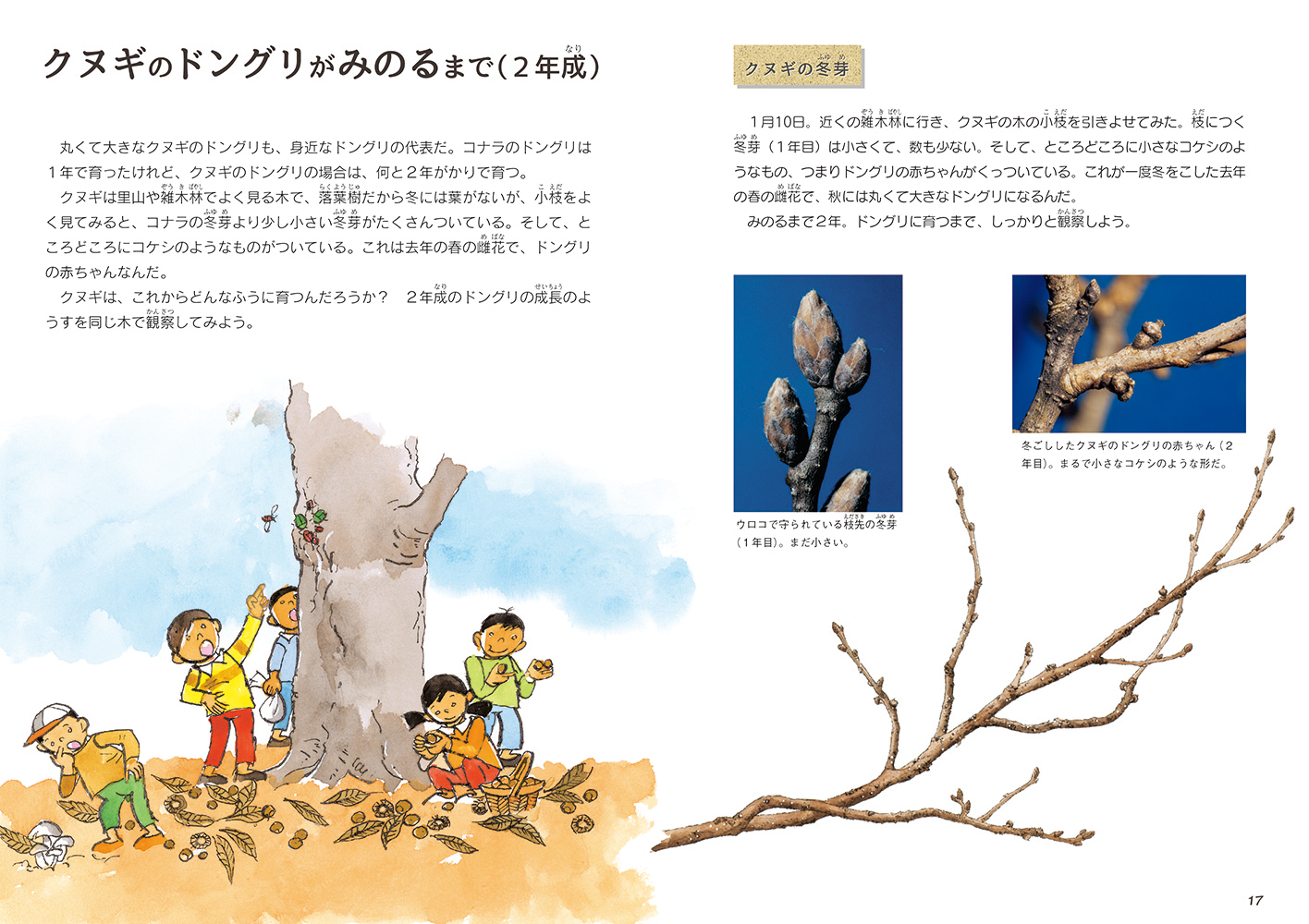 サムネイル画像3