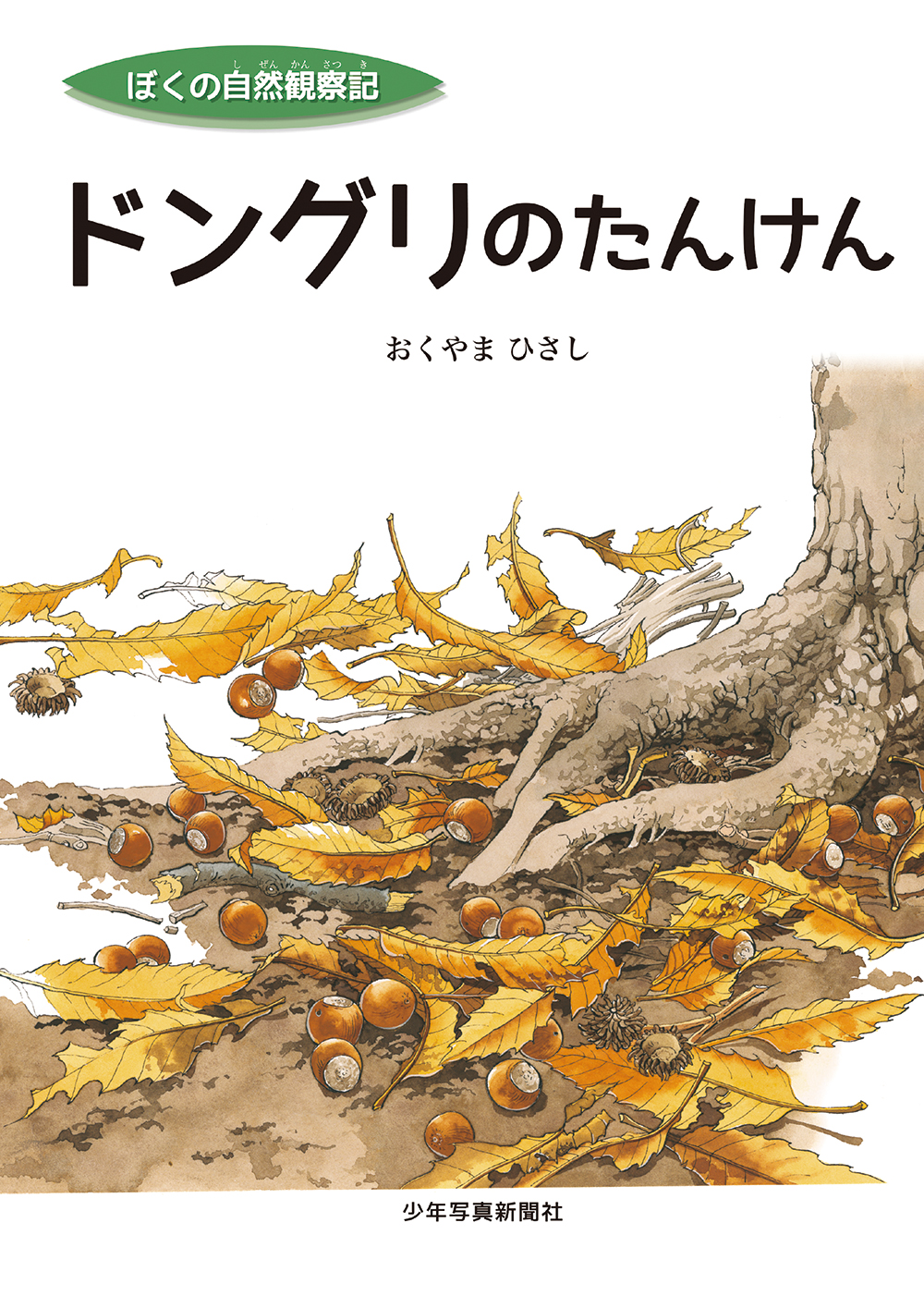 メイン画像