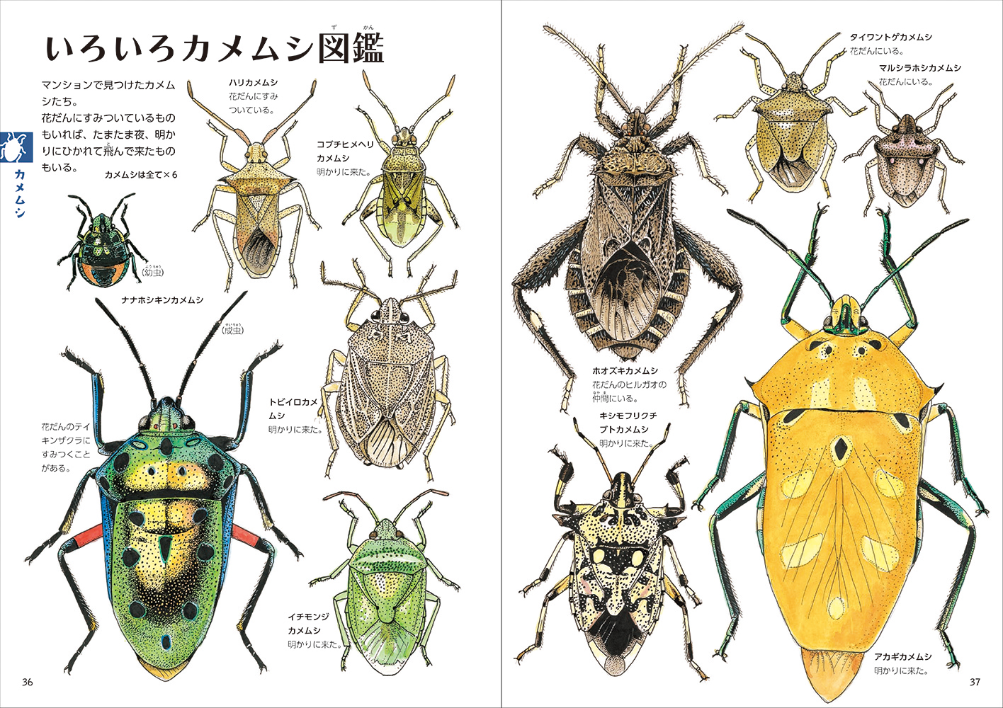 サムネイル画像4
