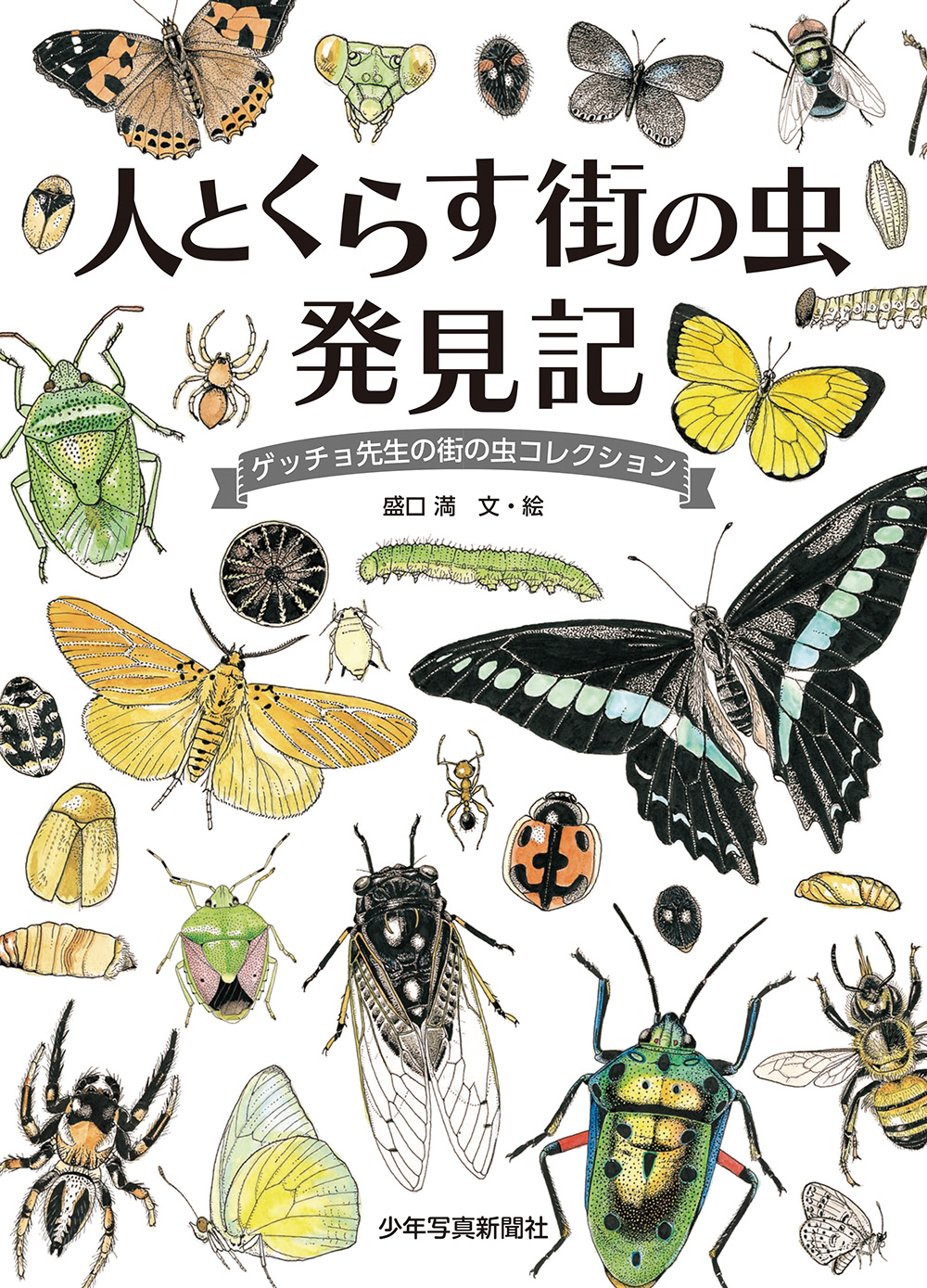 メイン画像