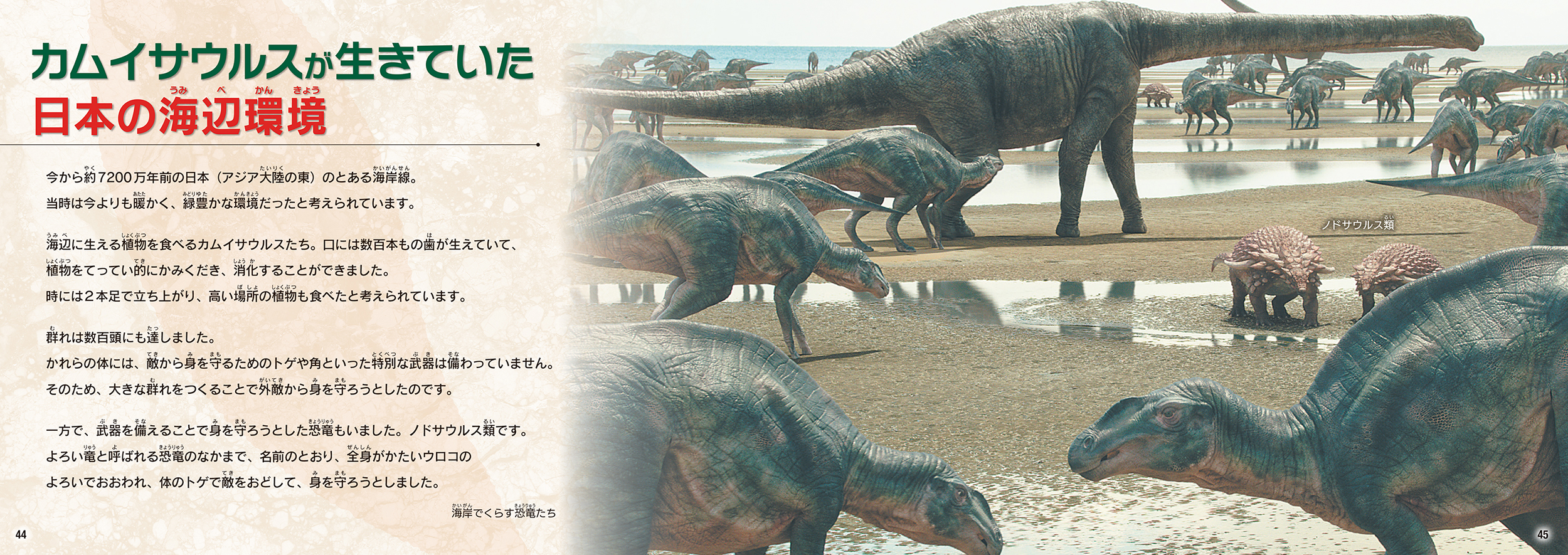 サムネイル画像4
