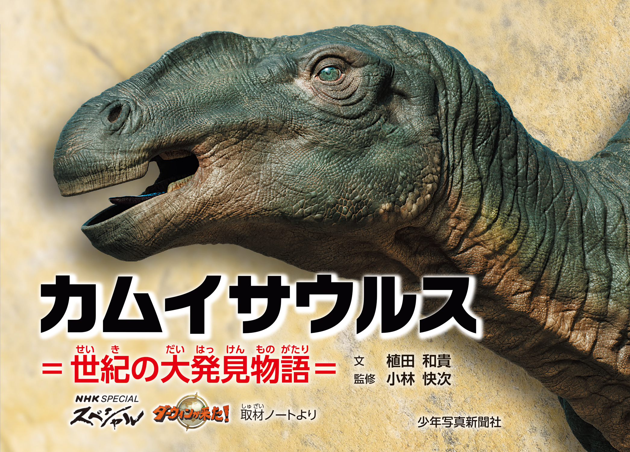 メイン画像