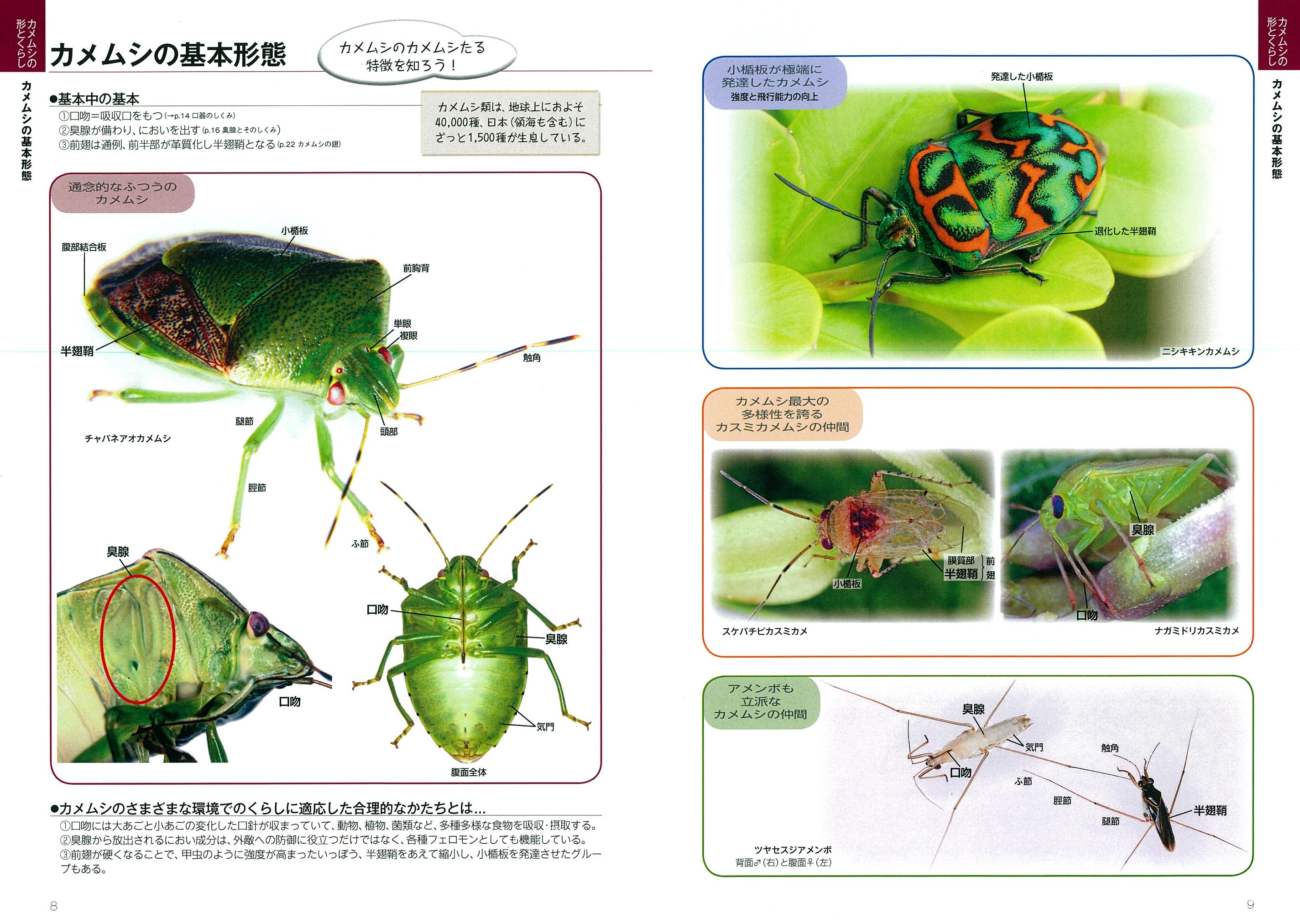 サムネイル画像2