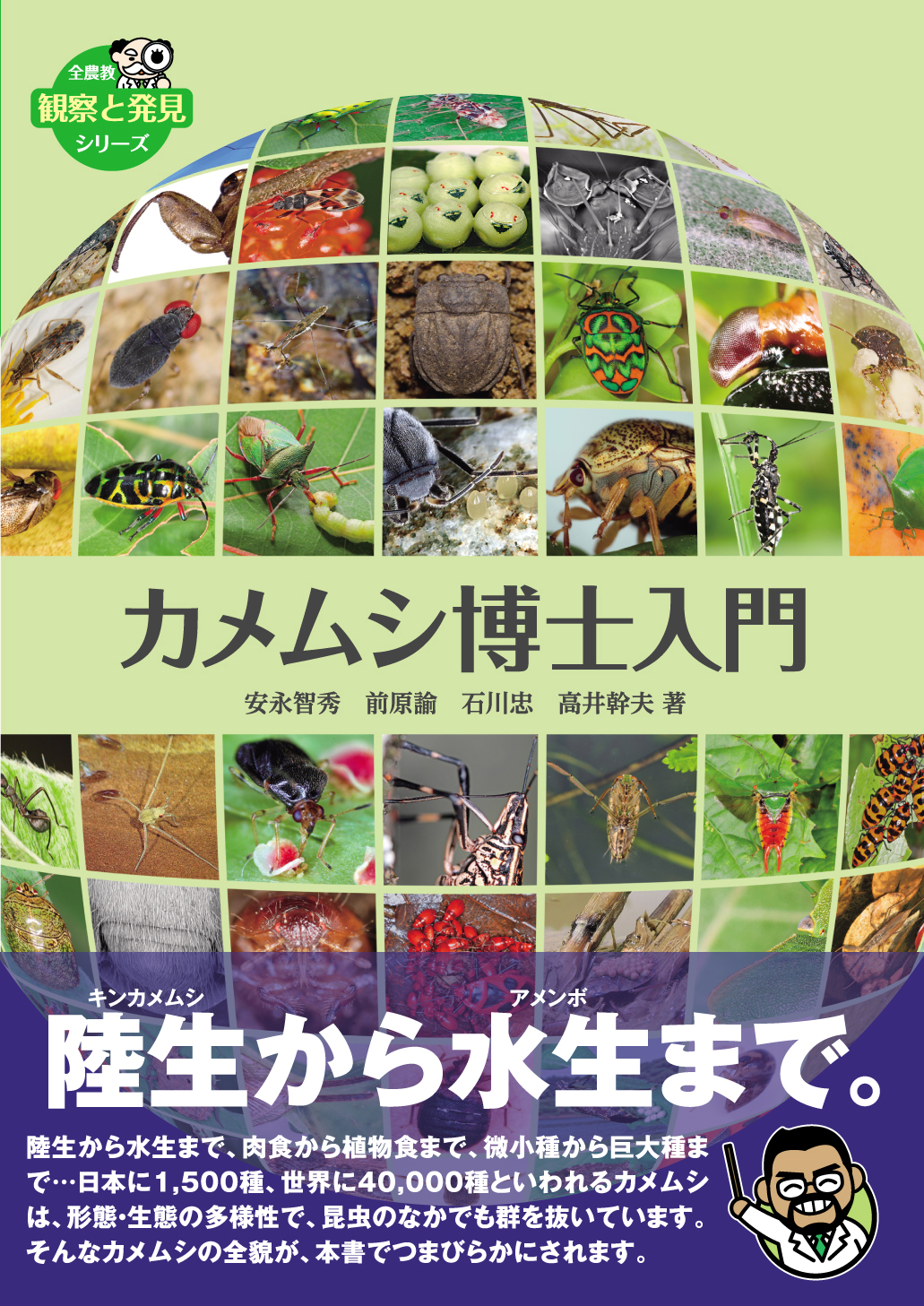 メイン画像