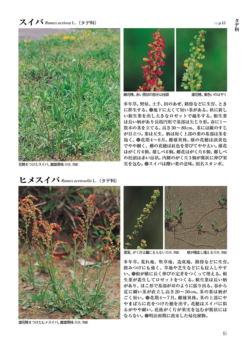 サムネイル画像3