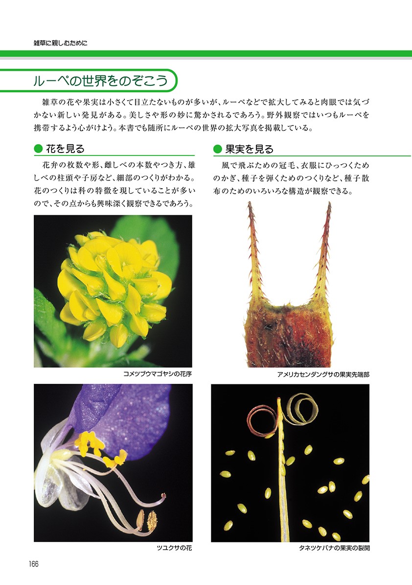 サムネイル画像5