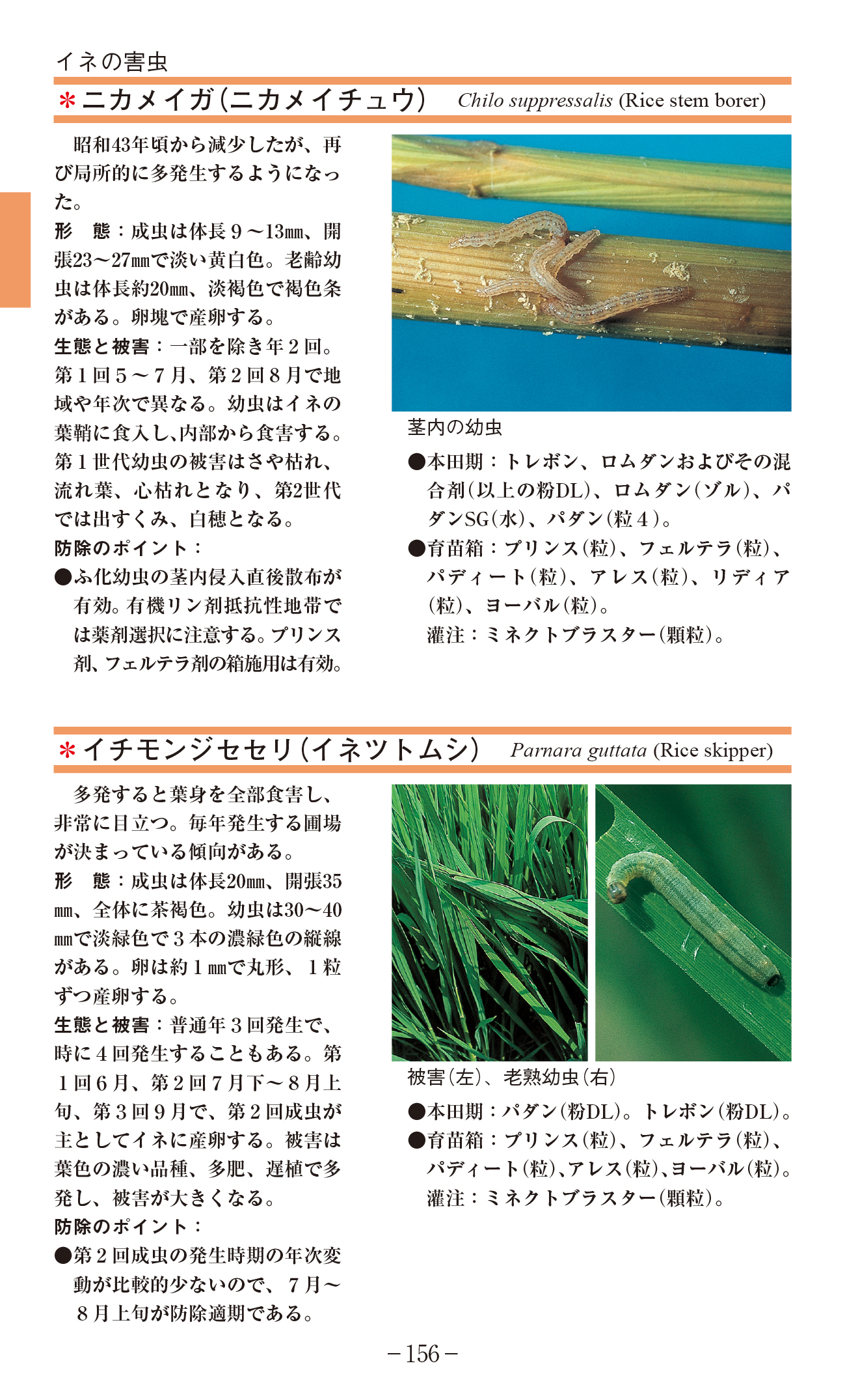 サムネイル画像3