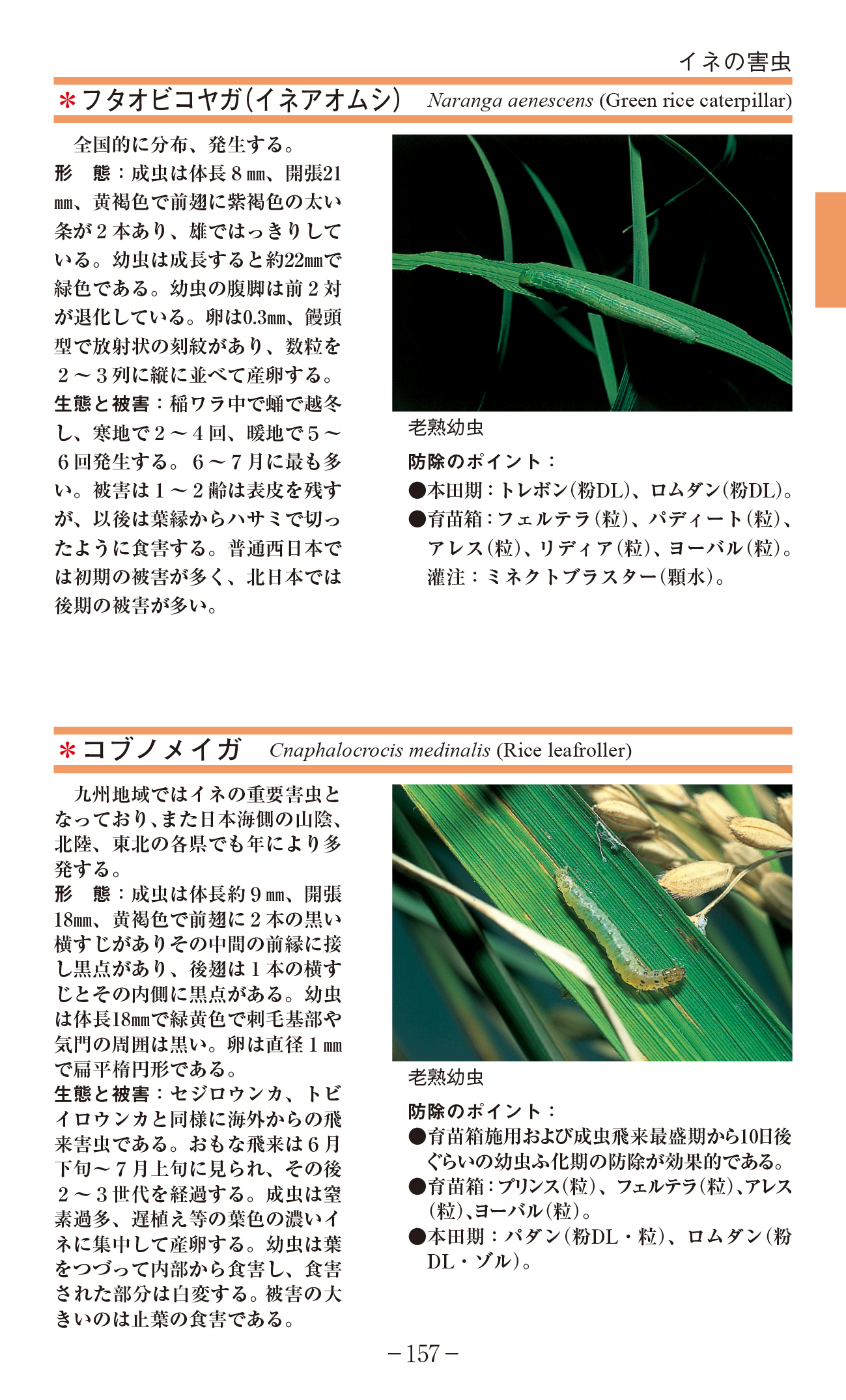 サムネイル画像4