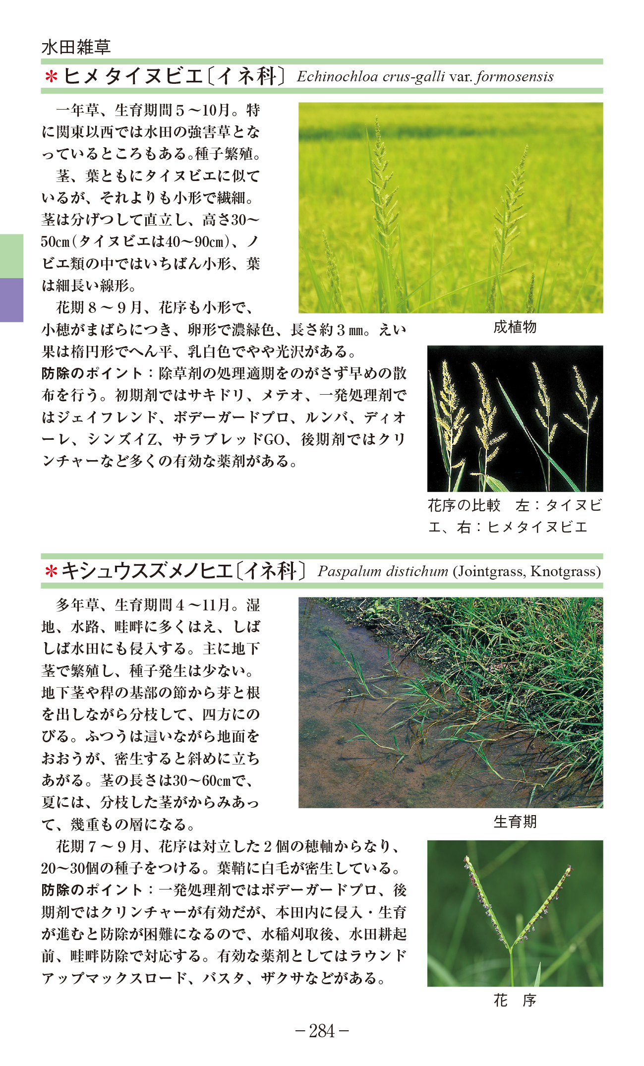 サムネイル画像5