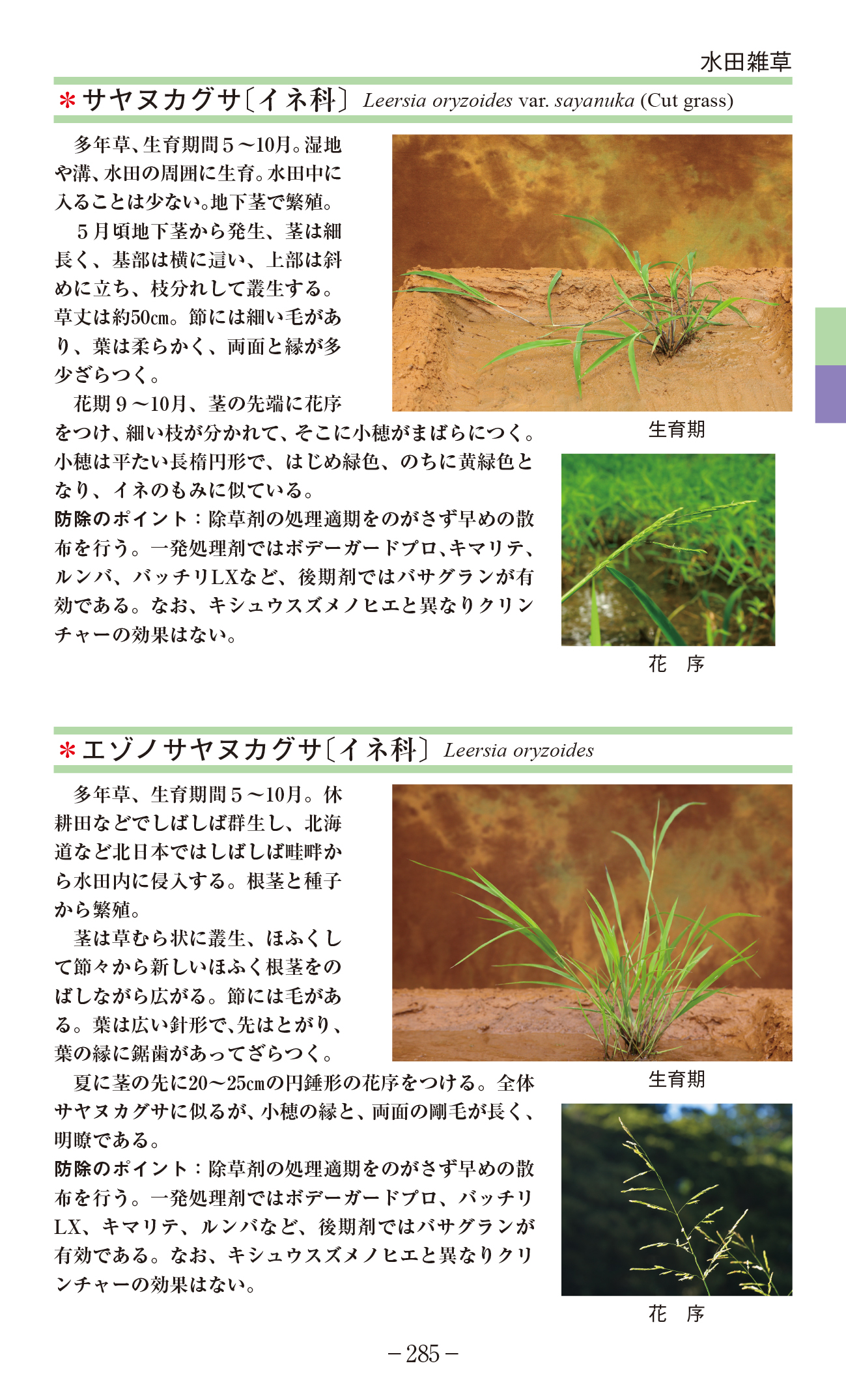 サムネイル画像6