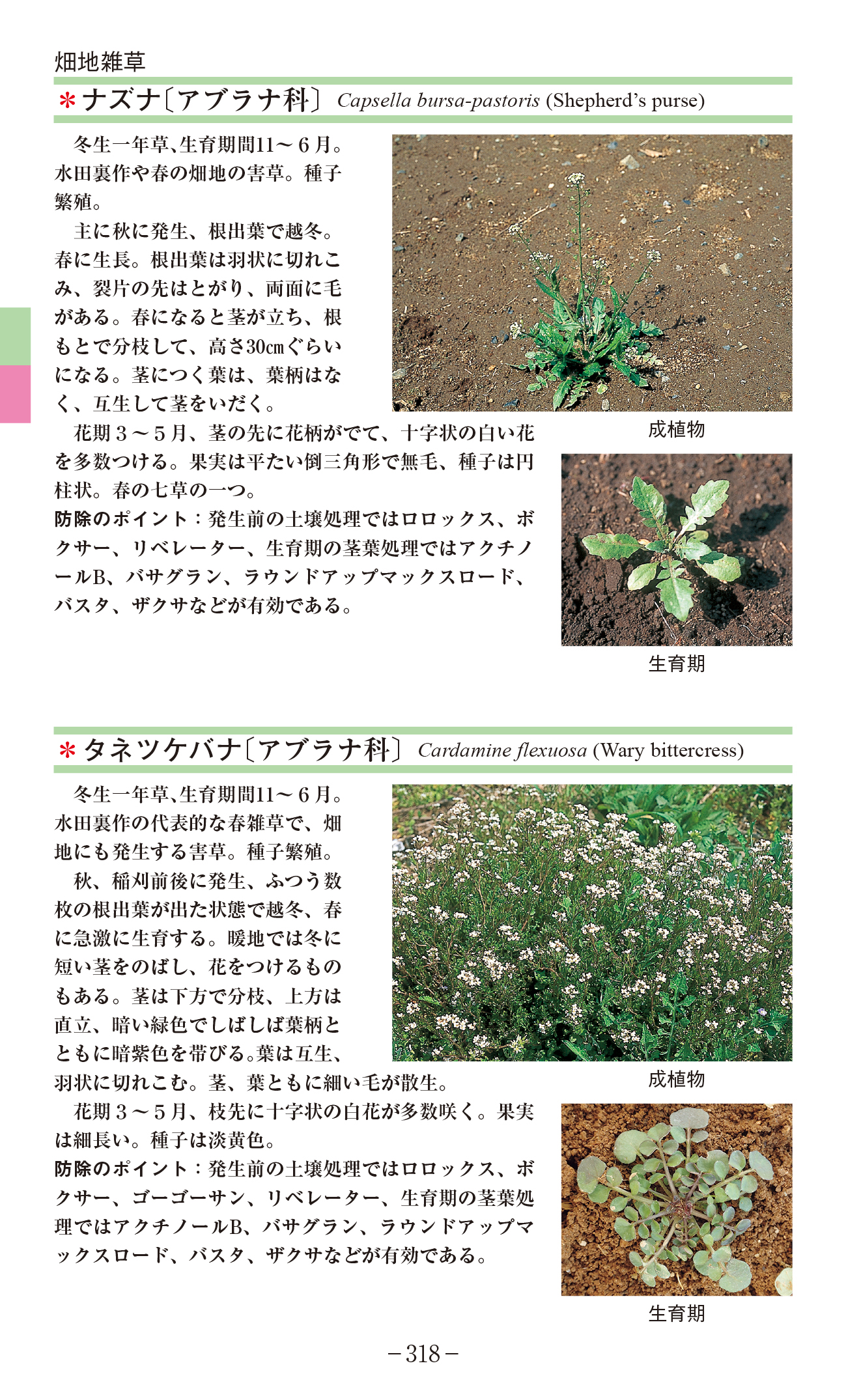 サムネイル画像7